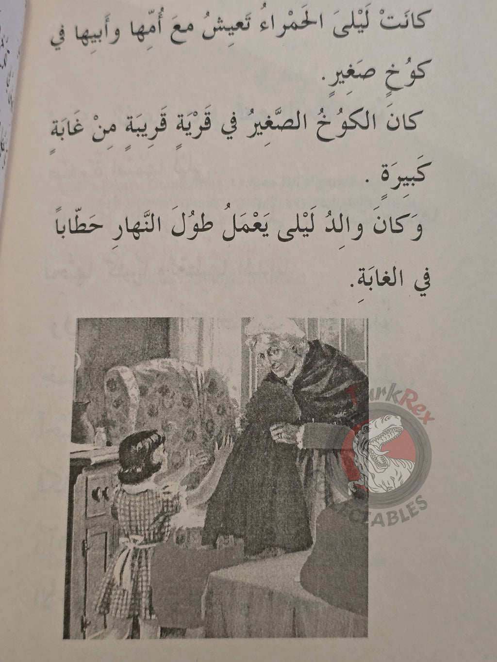 Little Red Riding Hood  – Grimm Brothers 2000s Arabic Book Turkey Illustrated