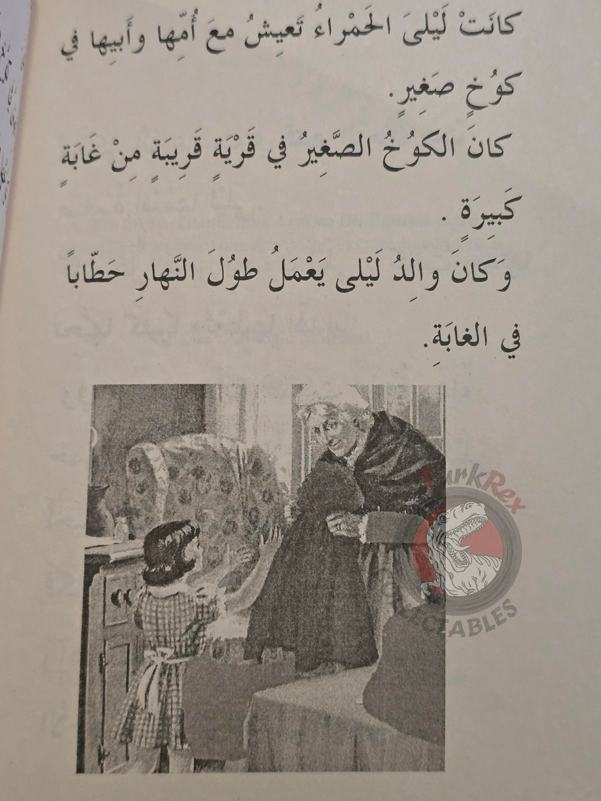 Little Red Riding Hood  – Grimm Brothers 2000s Arabic Book Turkey Illustrated
