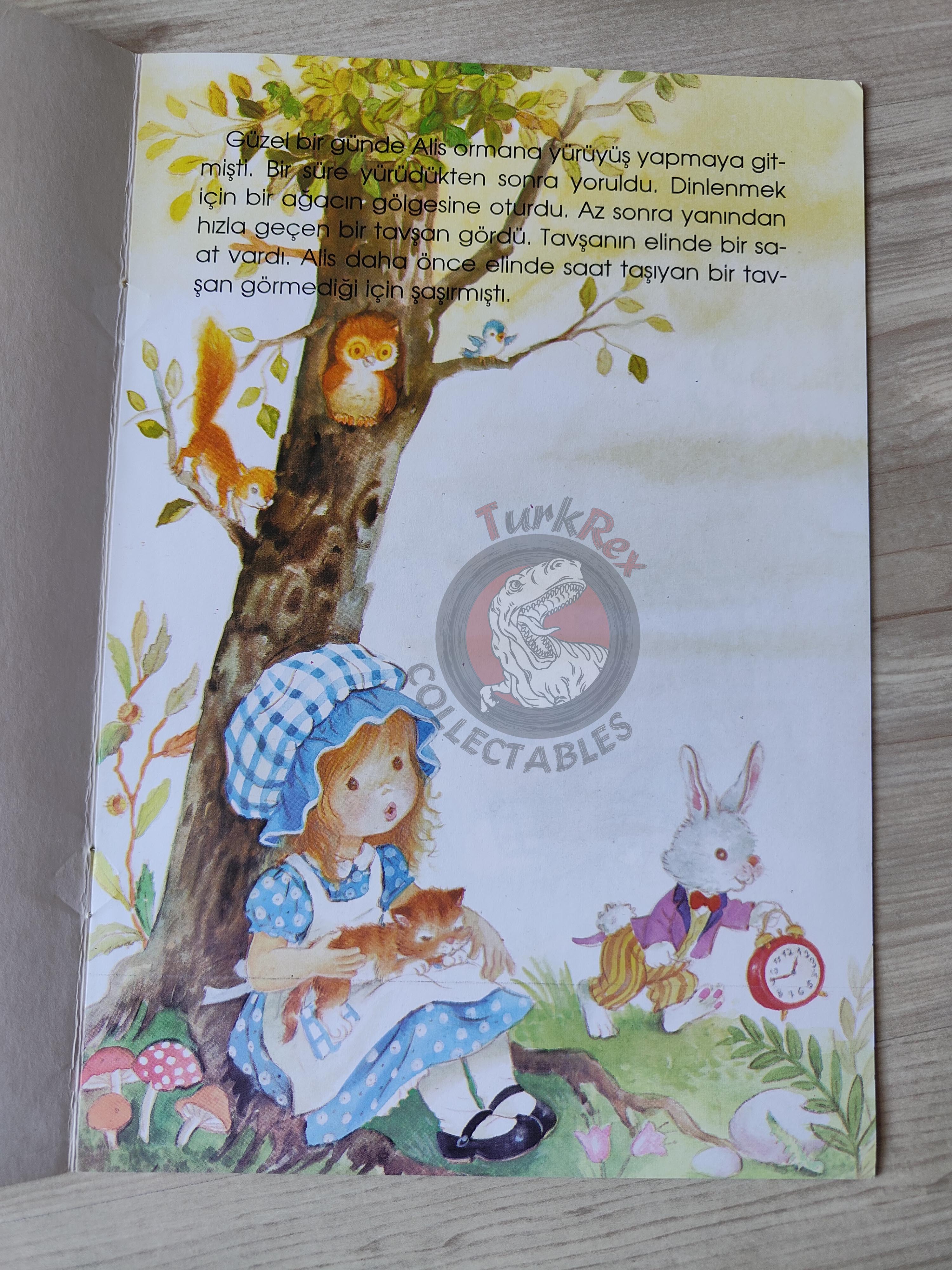 Lewis Carroll – Alice in Wonderland 2006 Turkish Book Turkey Illustrated Constanza