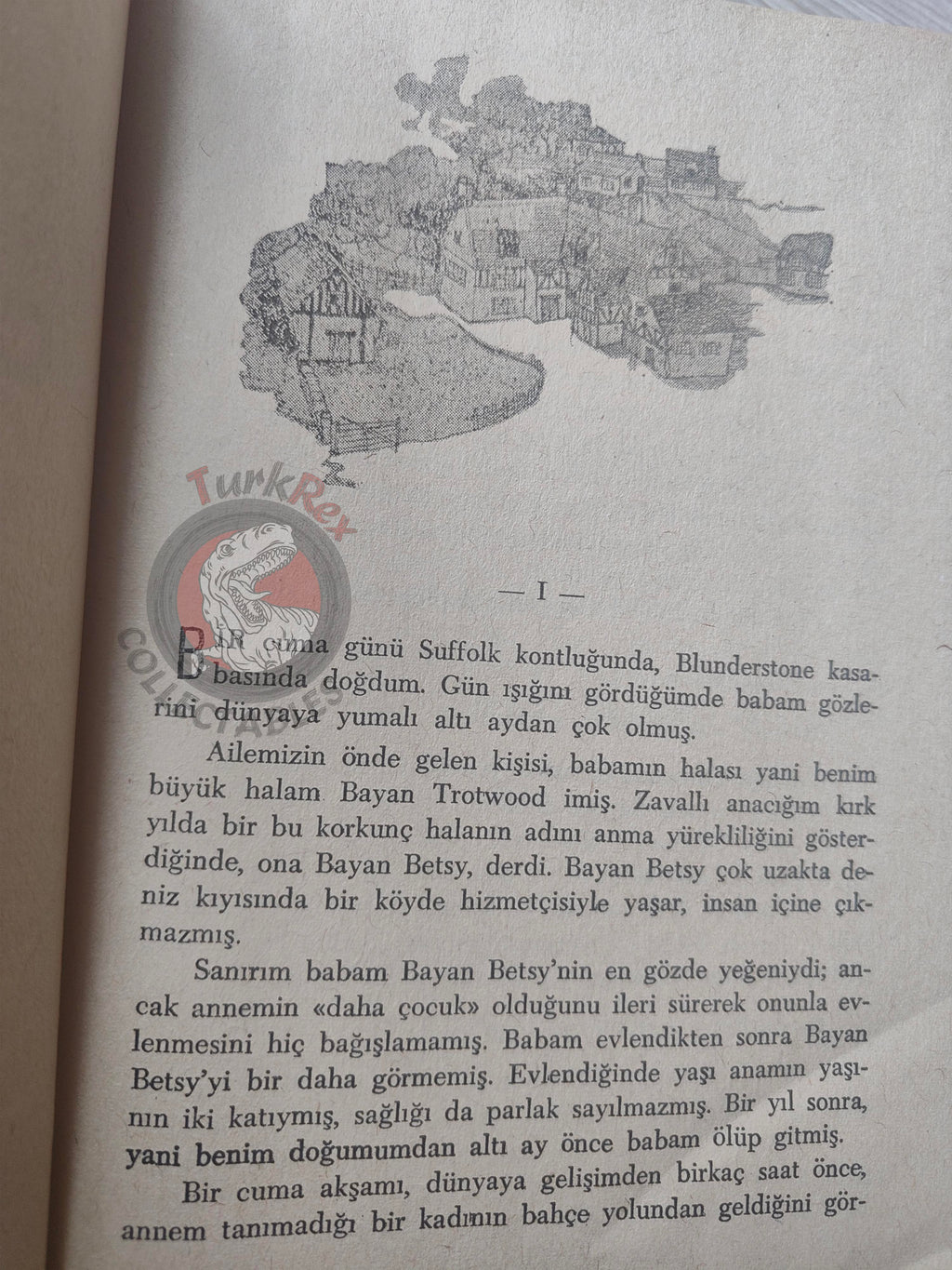 Charles Dickens – David Copperfield 1982 Turkish Book Turkey Illustrated