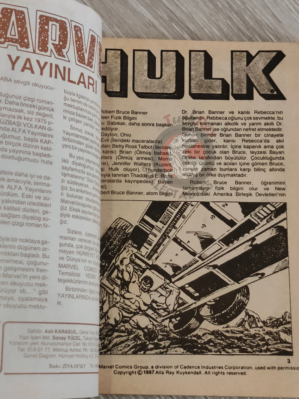 Hulk #1 1987 Turkish Comic Turkey cover #20