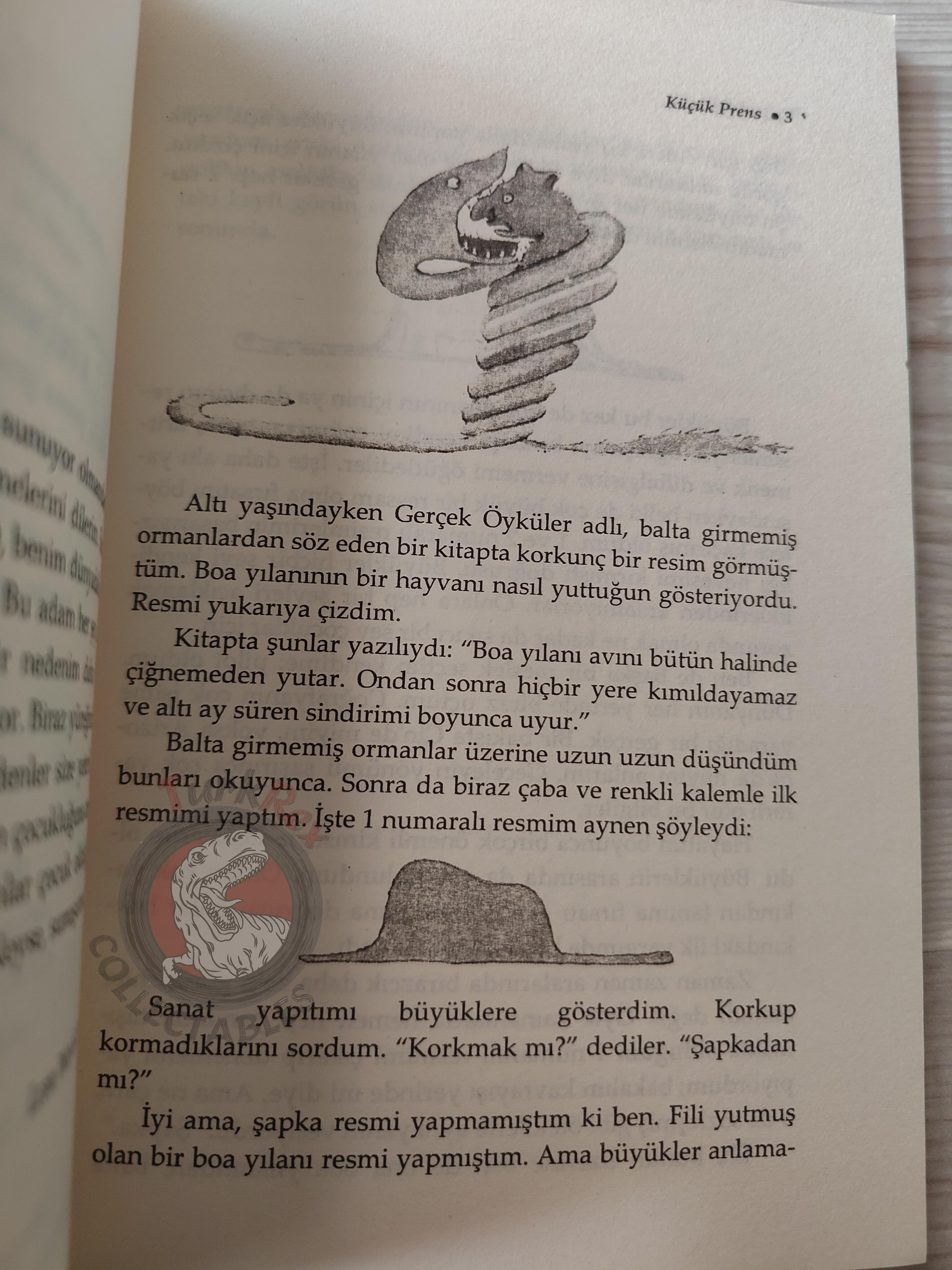 Antoine de Saint-Exupéry – Le Petit Prince 2008 Turkish Book Turkey Illustrated Little 2