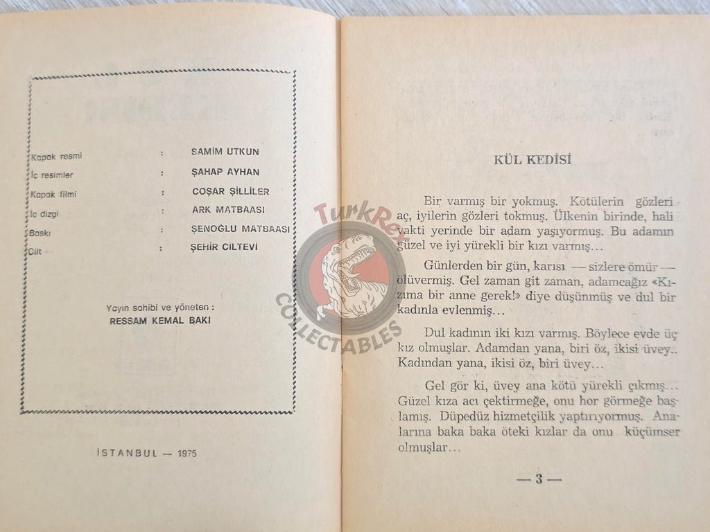 Grimm Brothers – Cinderella 1975 Turkish Book Turkey Illustrated