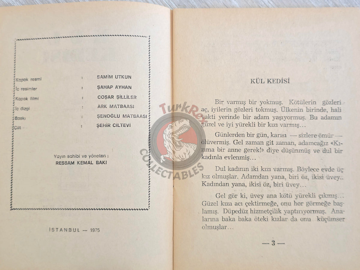 Grimm Brothers – Cinderella 1975 Turkish Book Turkey Illustrated
