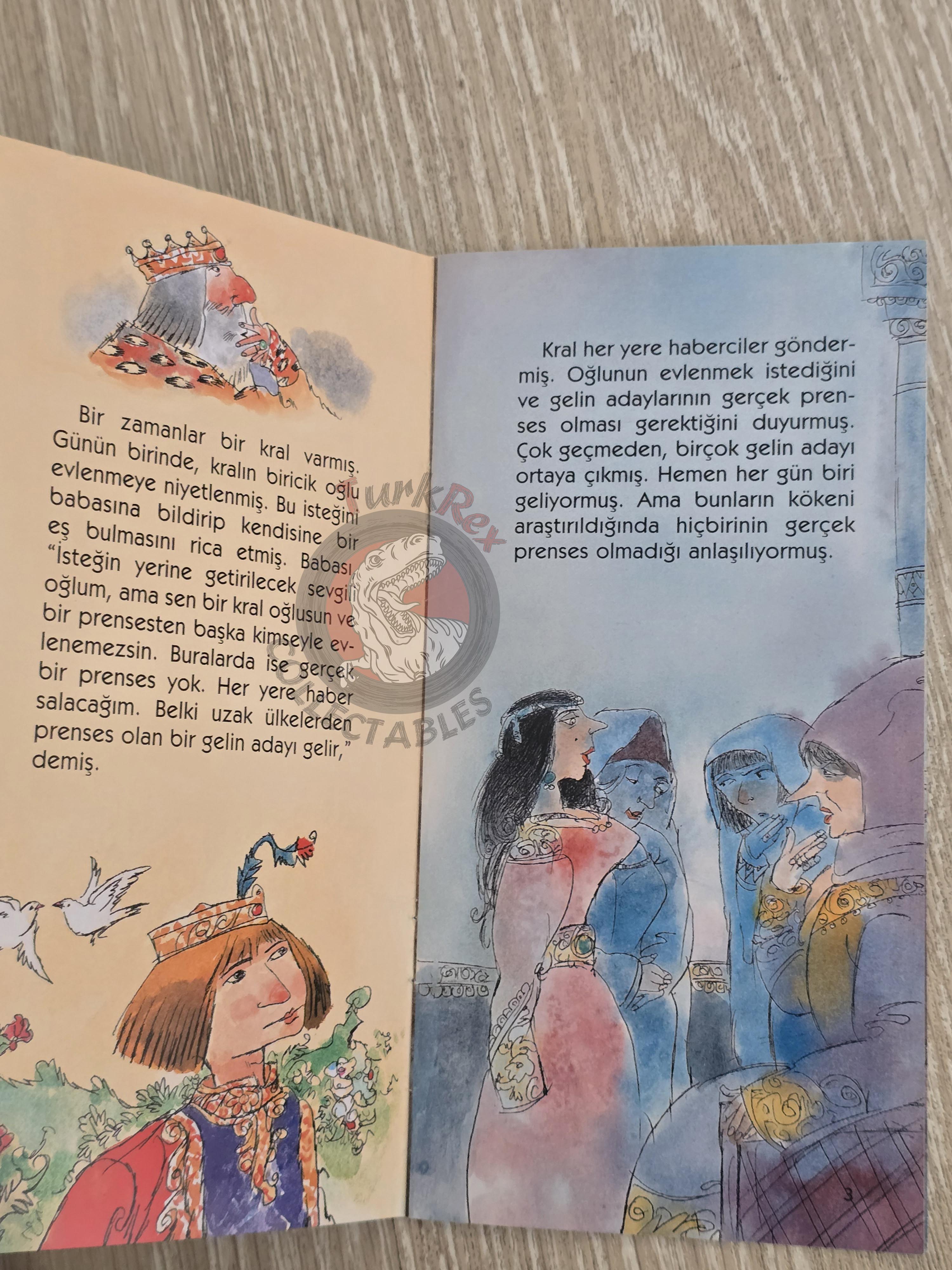 Grimm Brothers – The Princess and the Pea 2011 Turkish Book Turkey Illustrated