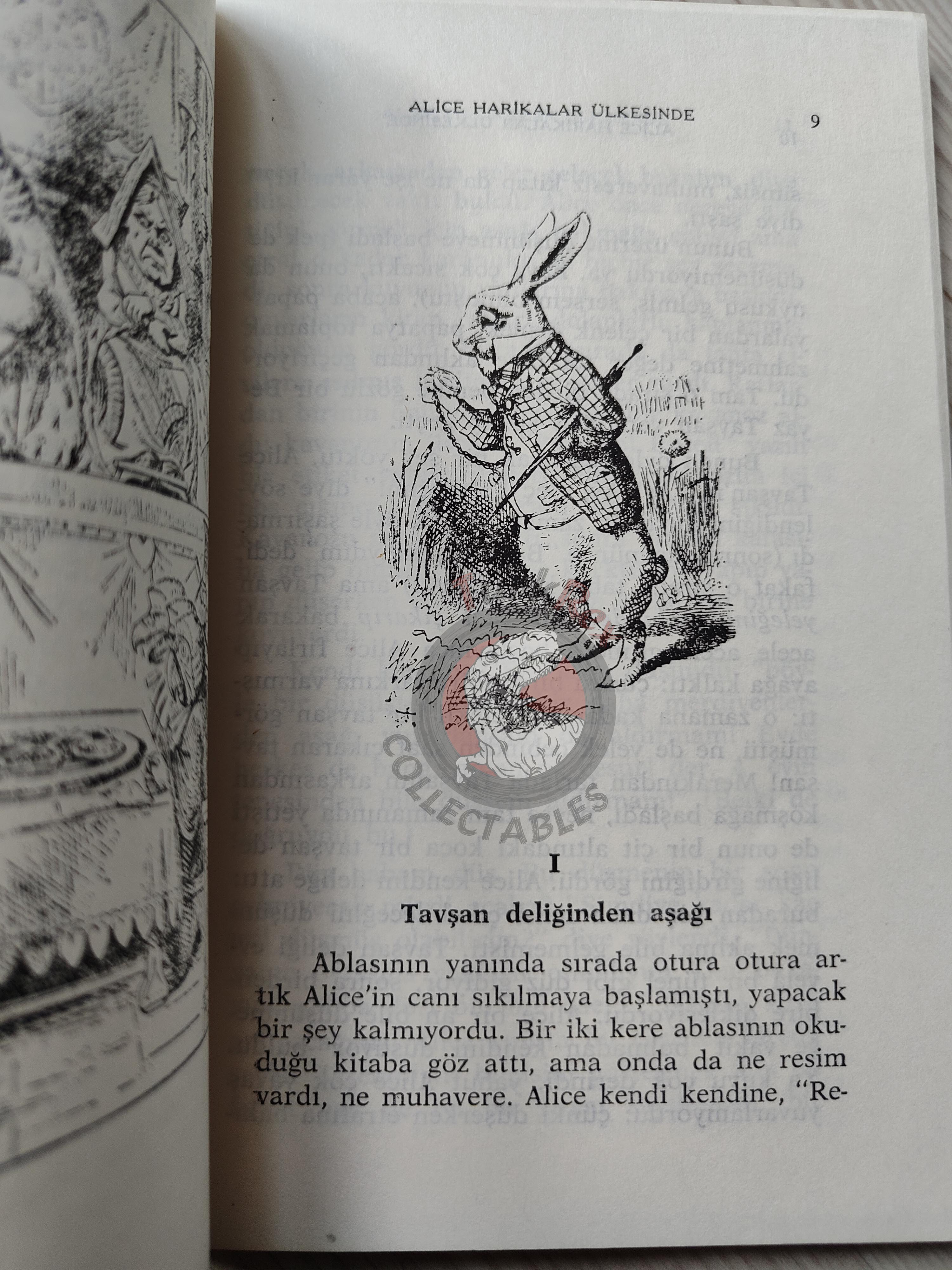 Lewis Carroll – Alice in Wonderland 1990 Turkish Book Turkey Illustrated John Tenniel