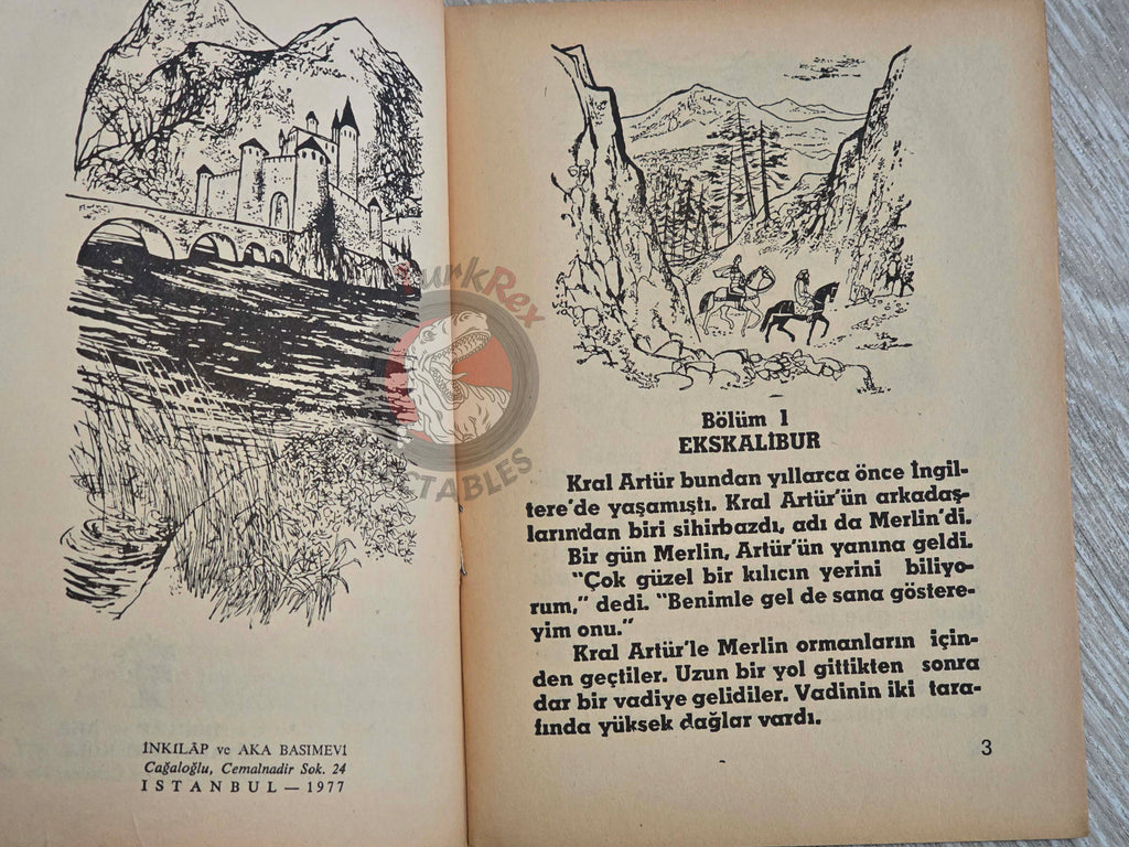King Arthur and the Knights  1977  Turkish Book Turkey Illustrated