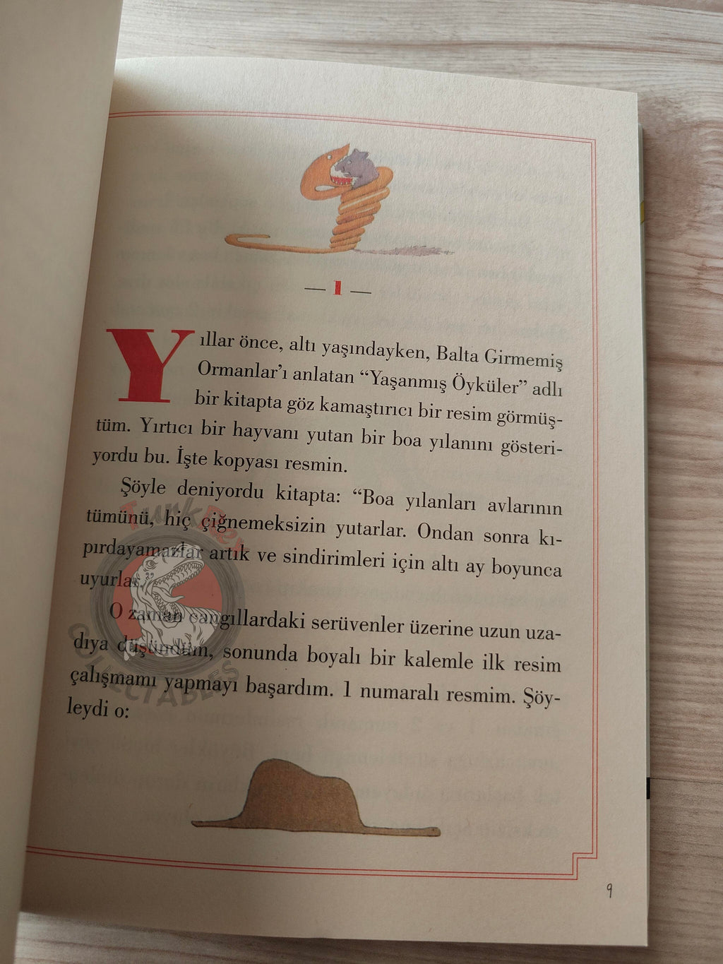 Antoine de Saint-Exupéry – Le Petit Prince 2015 Turkish Book Turkey Illustrated Little 7