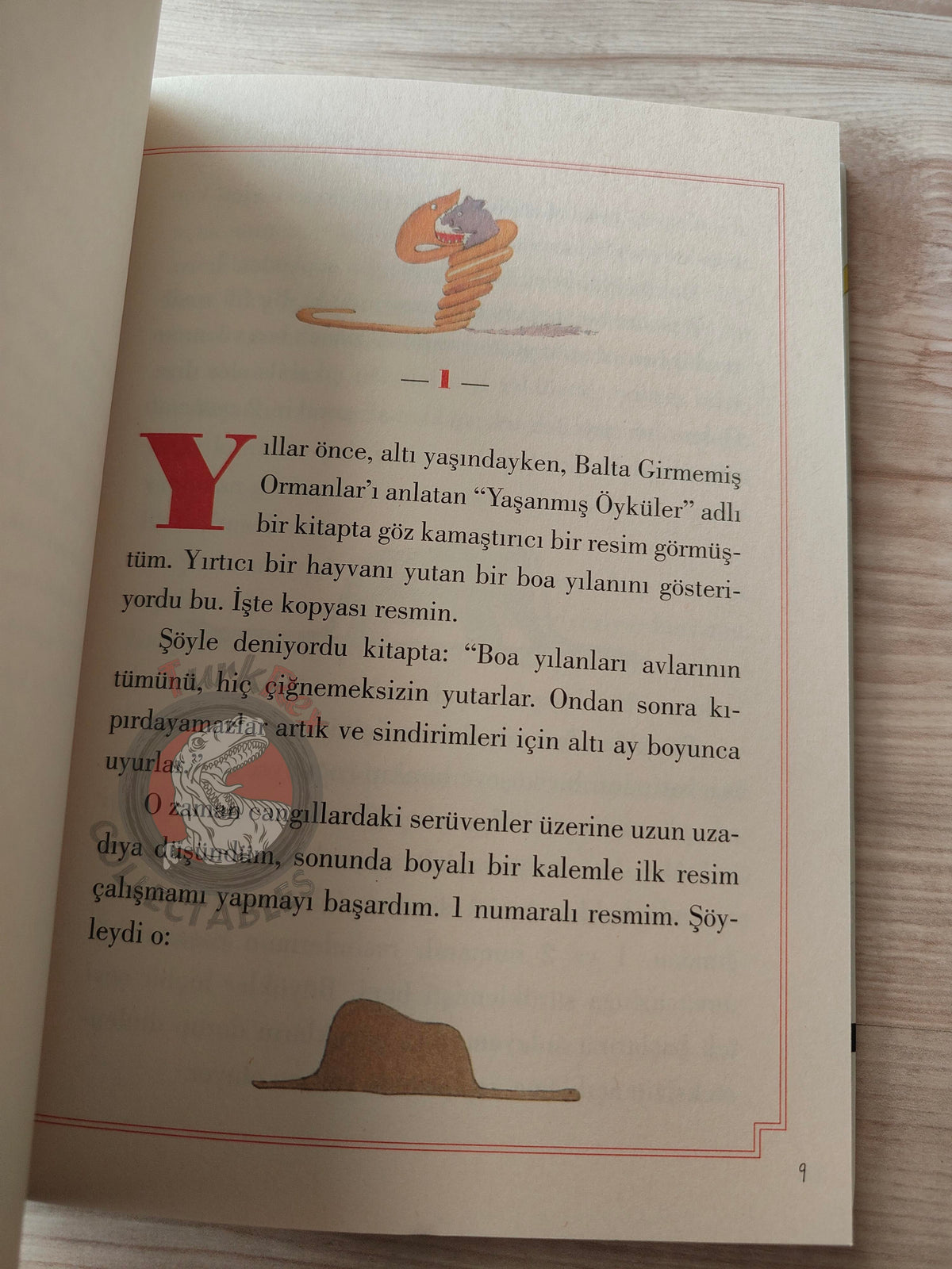 Antoine de Saint-Exupéry – Le Petit Prince 2015 Turkish Book Turkey Illustrated Little 7