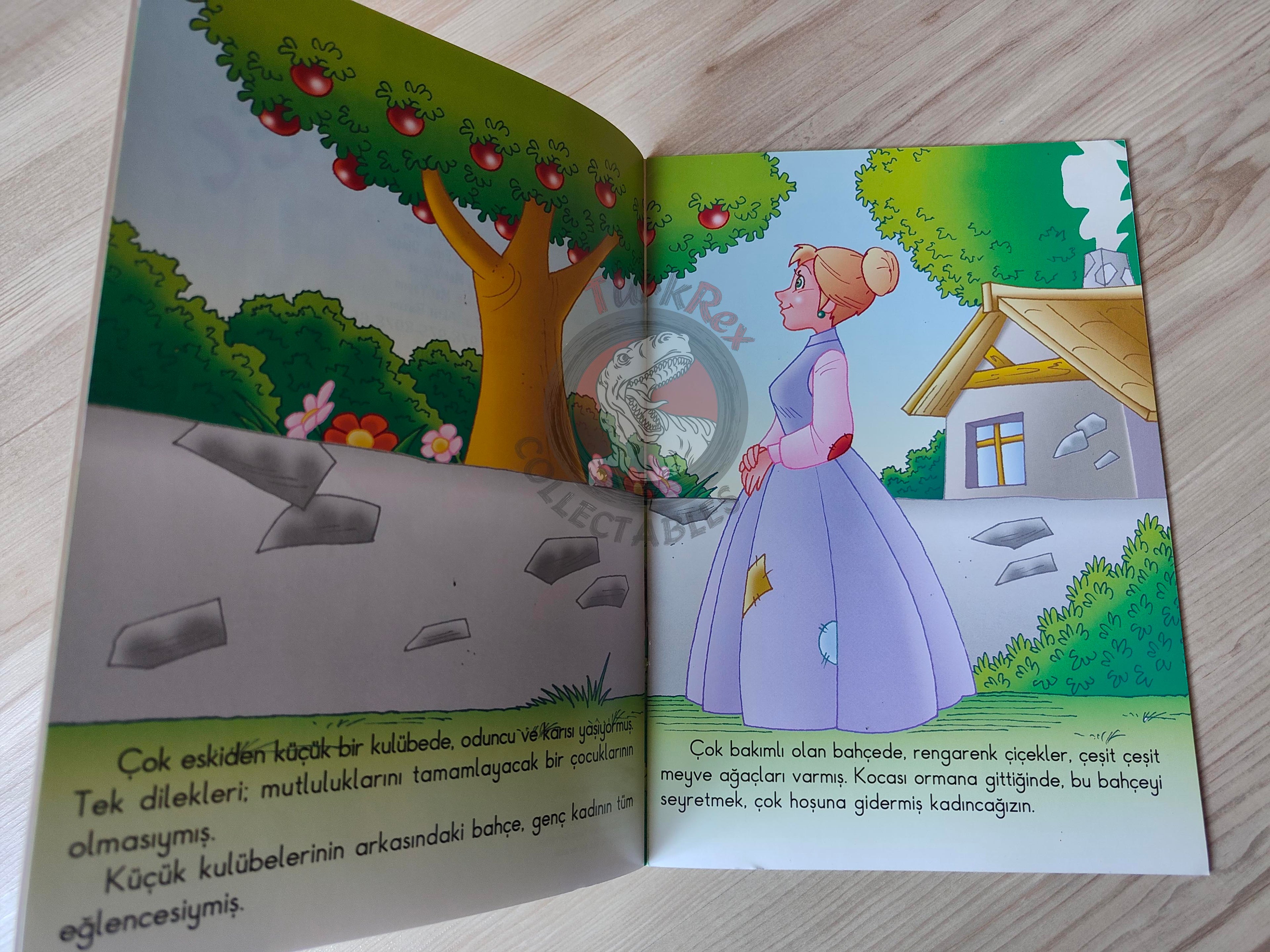 Grimm Brothers – Rapunzel 2011 Turkish Book Turkey Illustrated