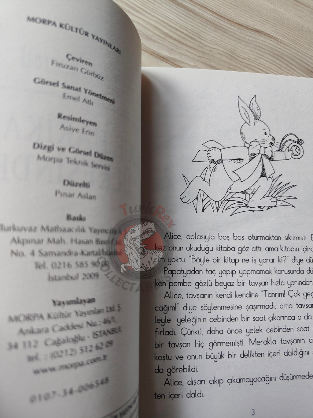 Lewis Carroll – Alice in Wonderland 2009 Turkish Book Turkey Illustrated