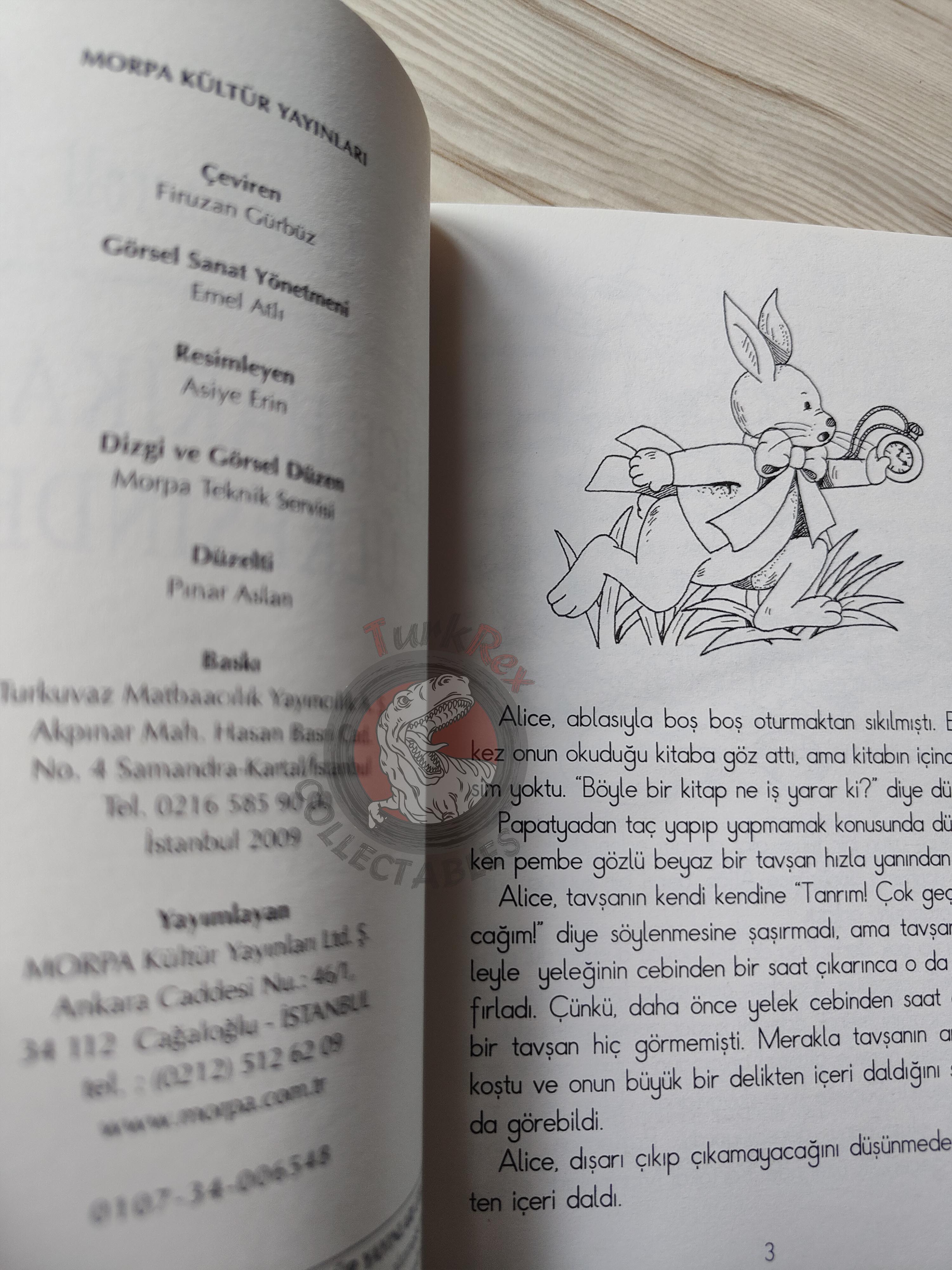 Lewis Carroll – Alice in Wonderland 2009 Turkish Book Turkey Illustrated