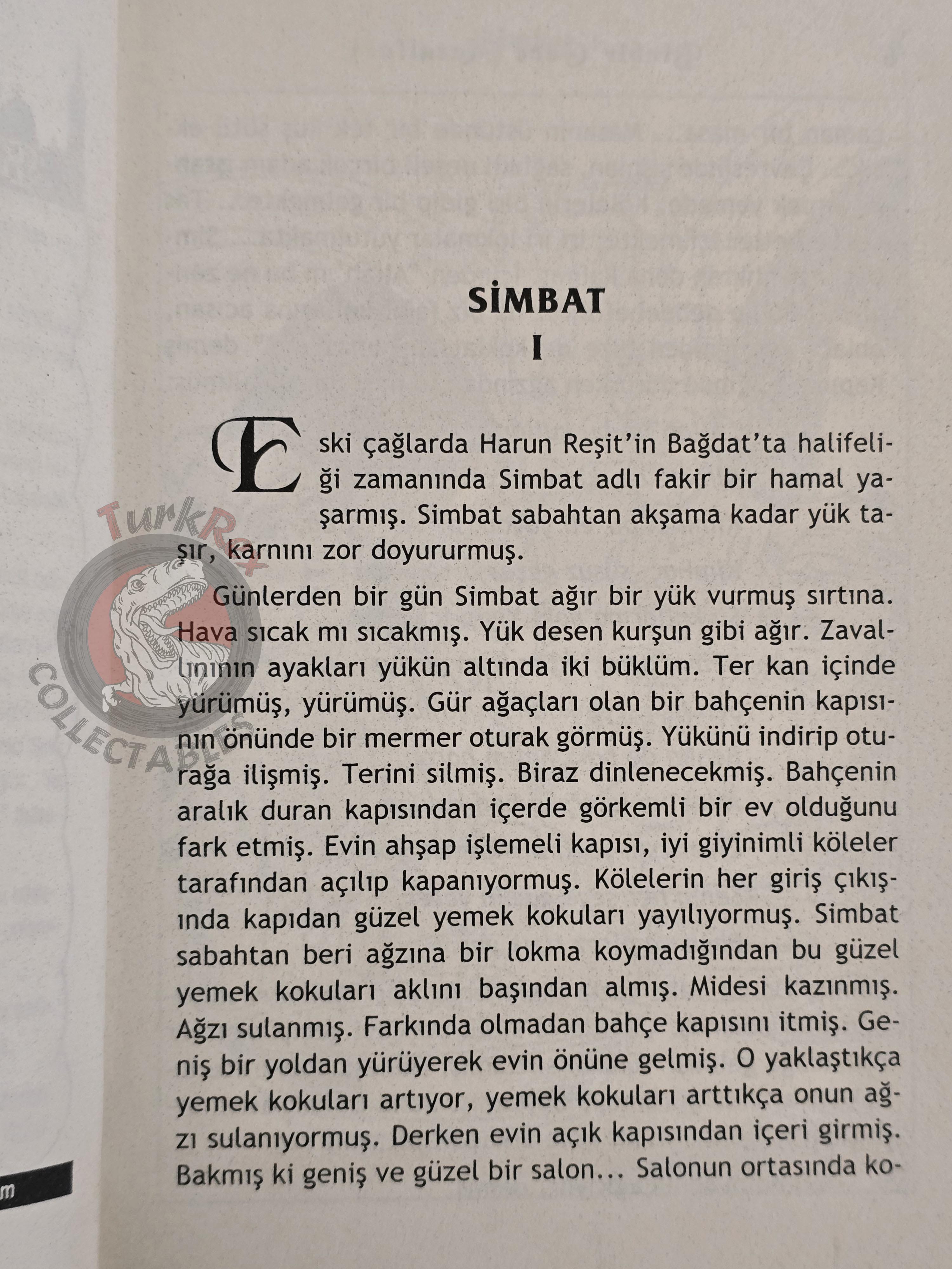 Sinbad the Sailor 2007 Turkish Book Turkey 1001 Nights Illustrated