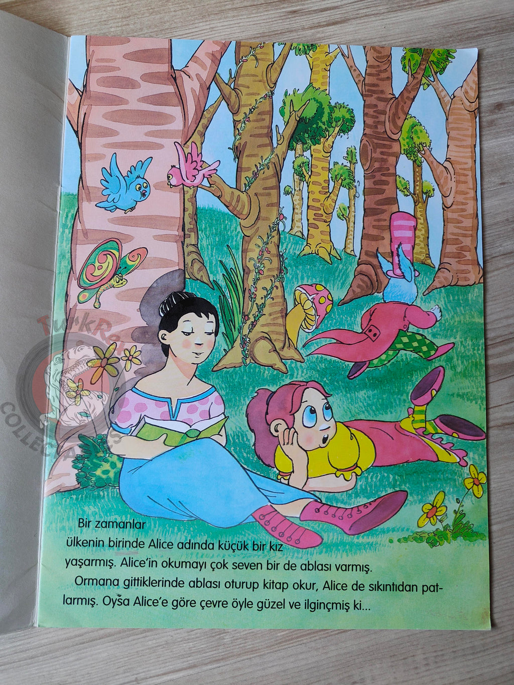 Lewis Carroll – Alice in Wonderland 2009 Turkish Book Turkey Illustrated 2