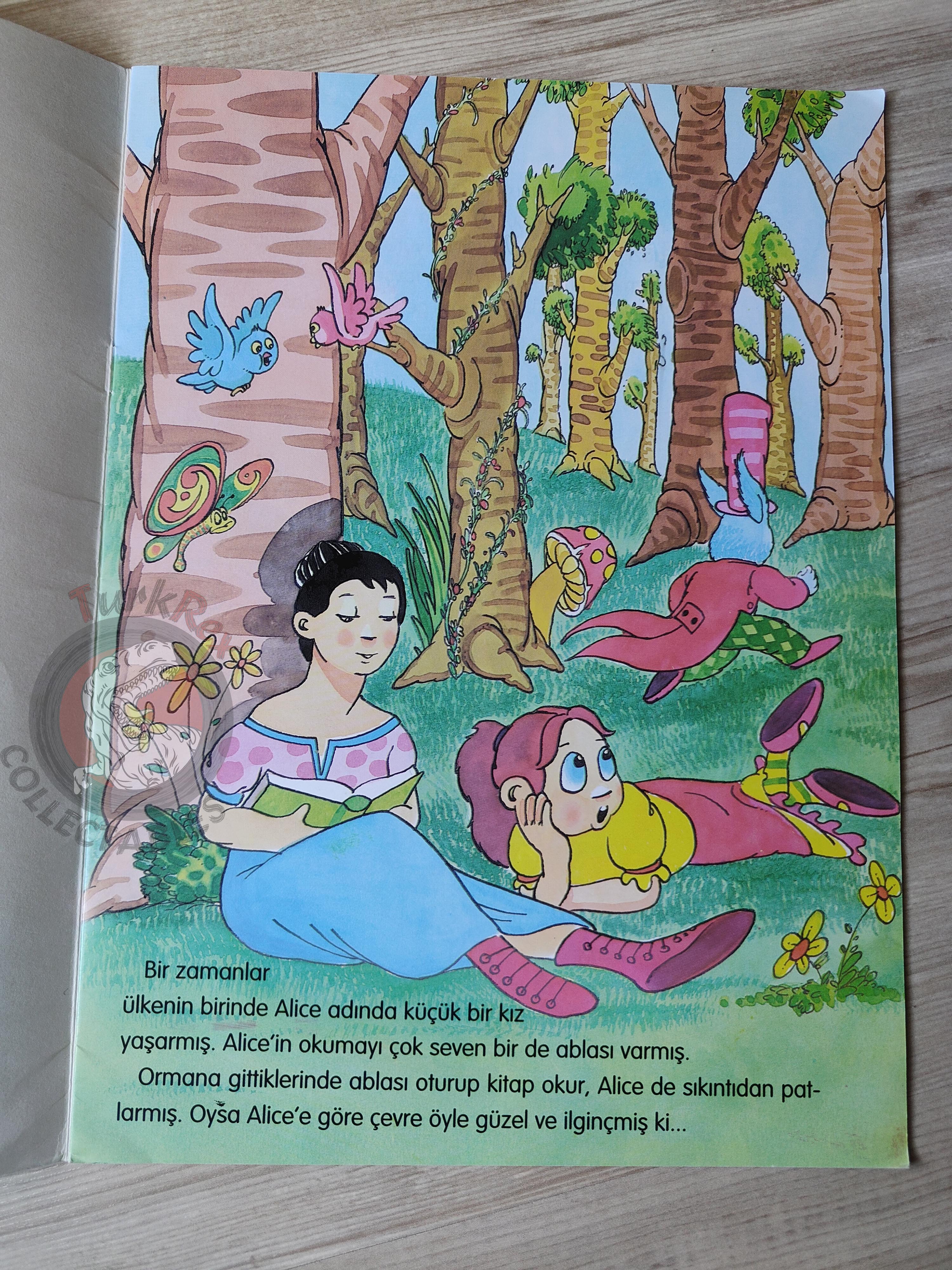 Lewis Carroll – Alice in Wonderland 2009 Turkish Book Turkey Illustrated 2