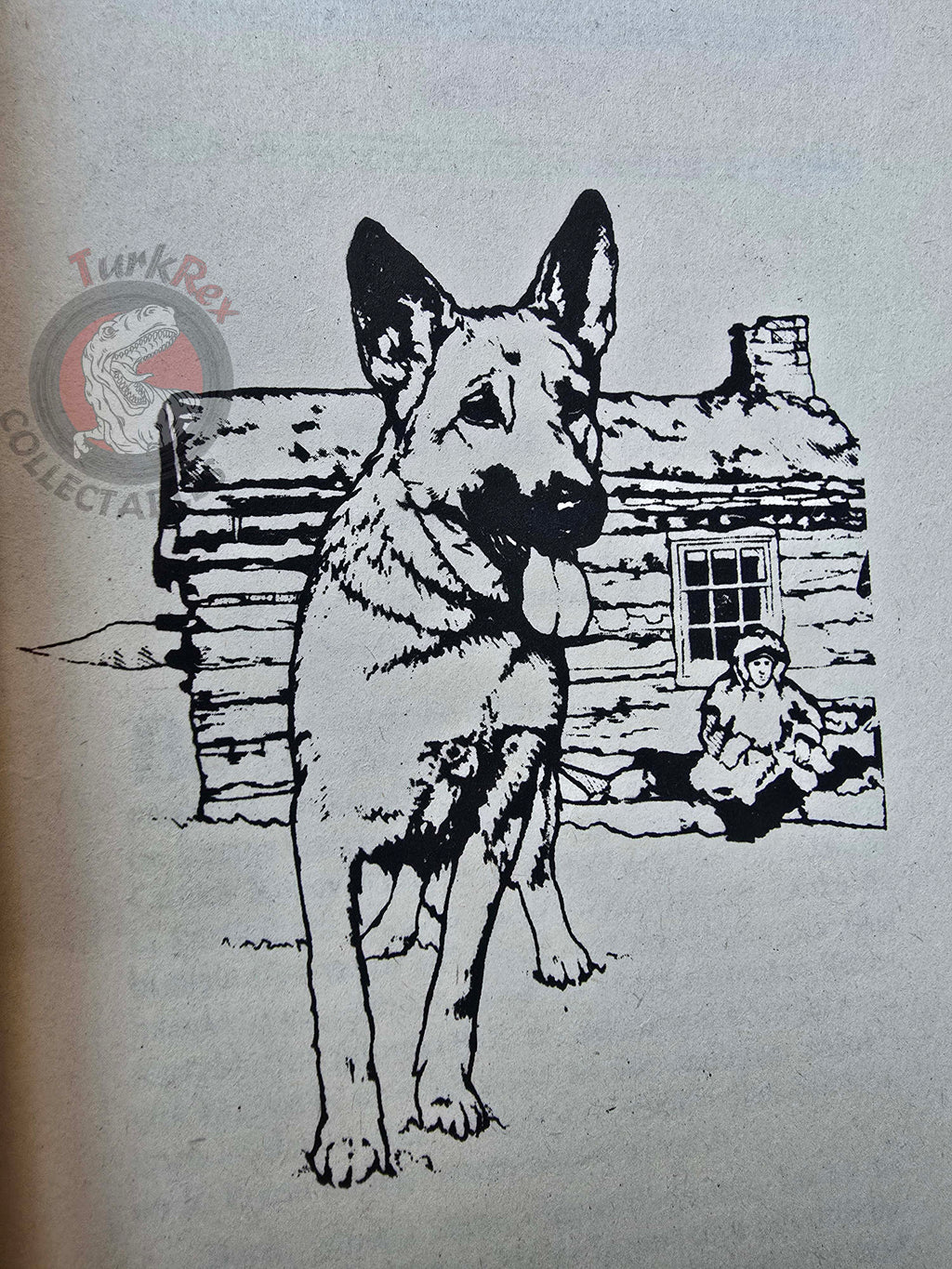 Jack London – The Call of the Wild 1996 Turkish Book Turkey Illustrated
