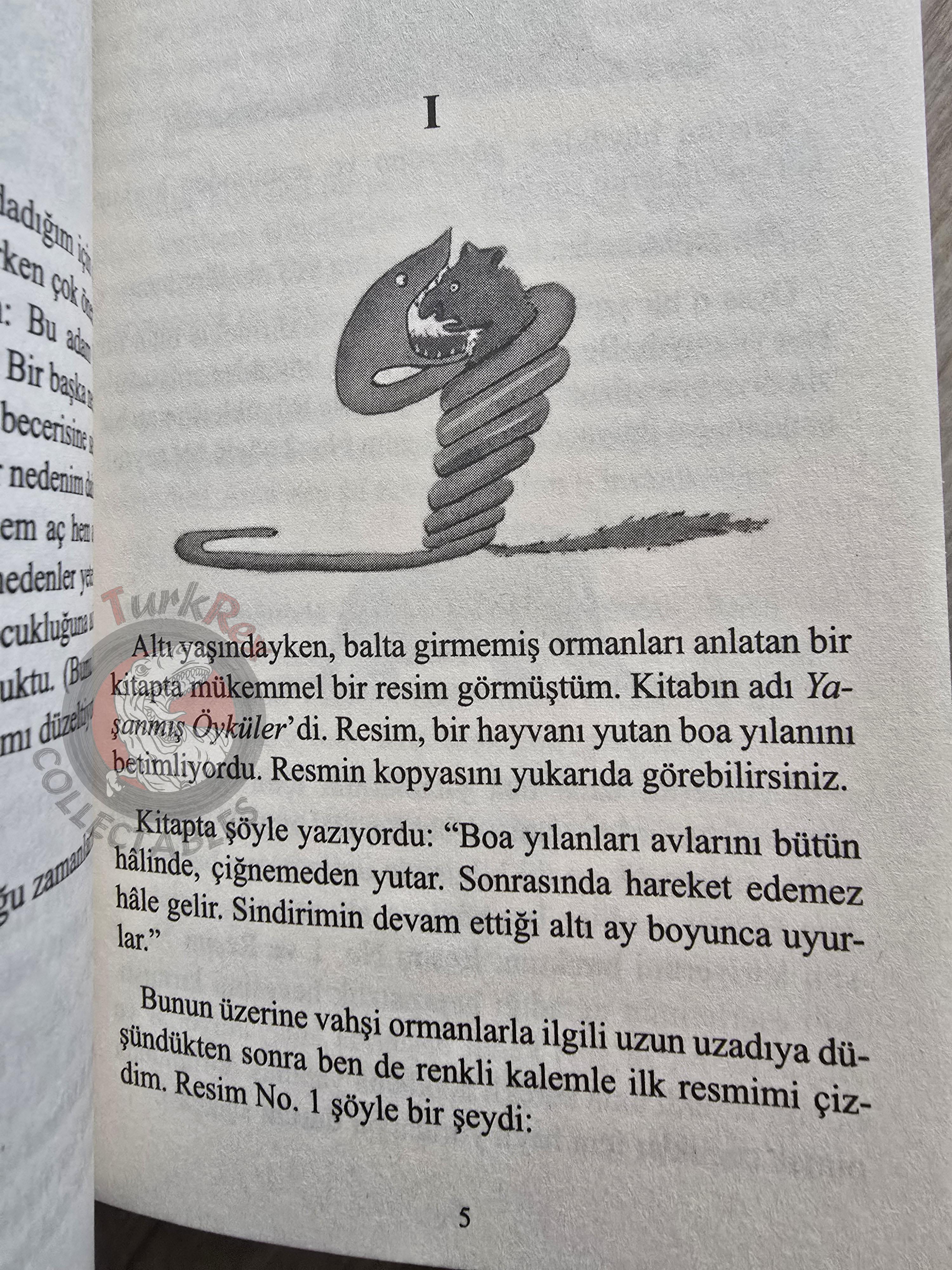 Antoine de Saint-Exupéry – Le Petit Prince 2019 Turkish Book Turkey Illustrated Little