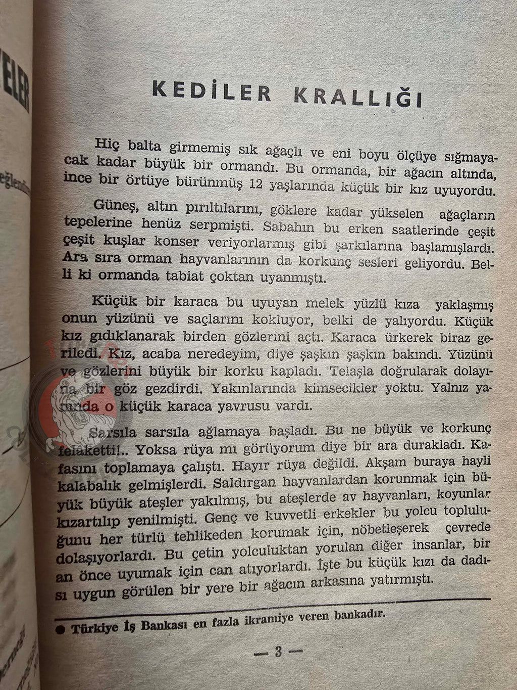 Saadet Uğurer – Kingdom of Cats 1963 Turkish Book Turkey Illustrated