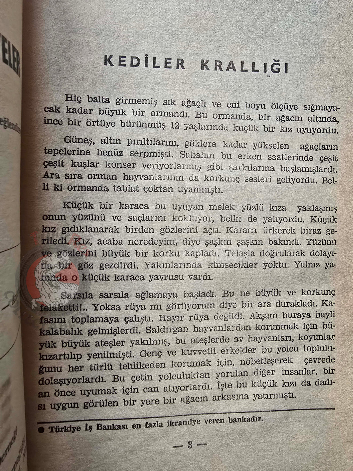 Saadet Uğurer – Kingdom of Cats 1963 Turkish Book Turkey Illustrated