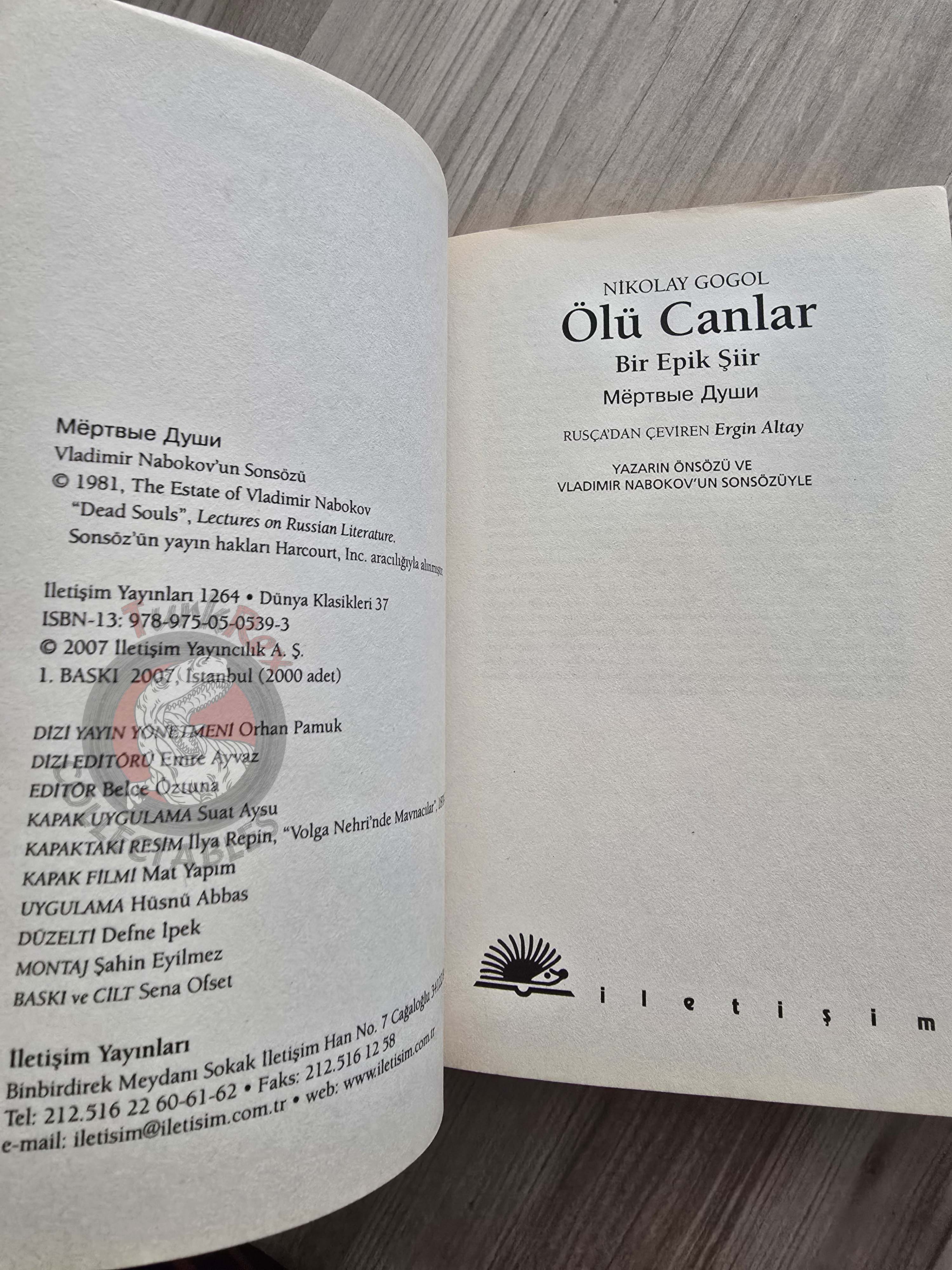 Nikolai Gogol – Dead Souls 2007 Turkish Book Turkey