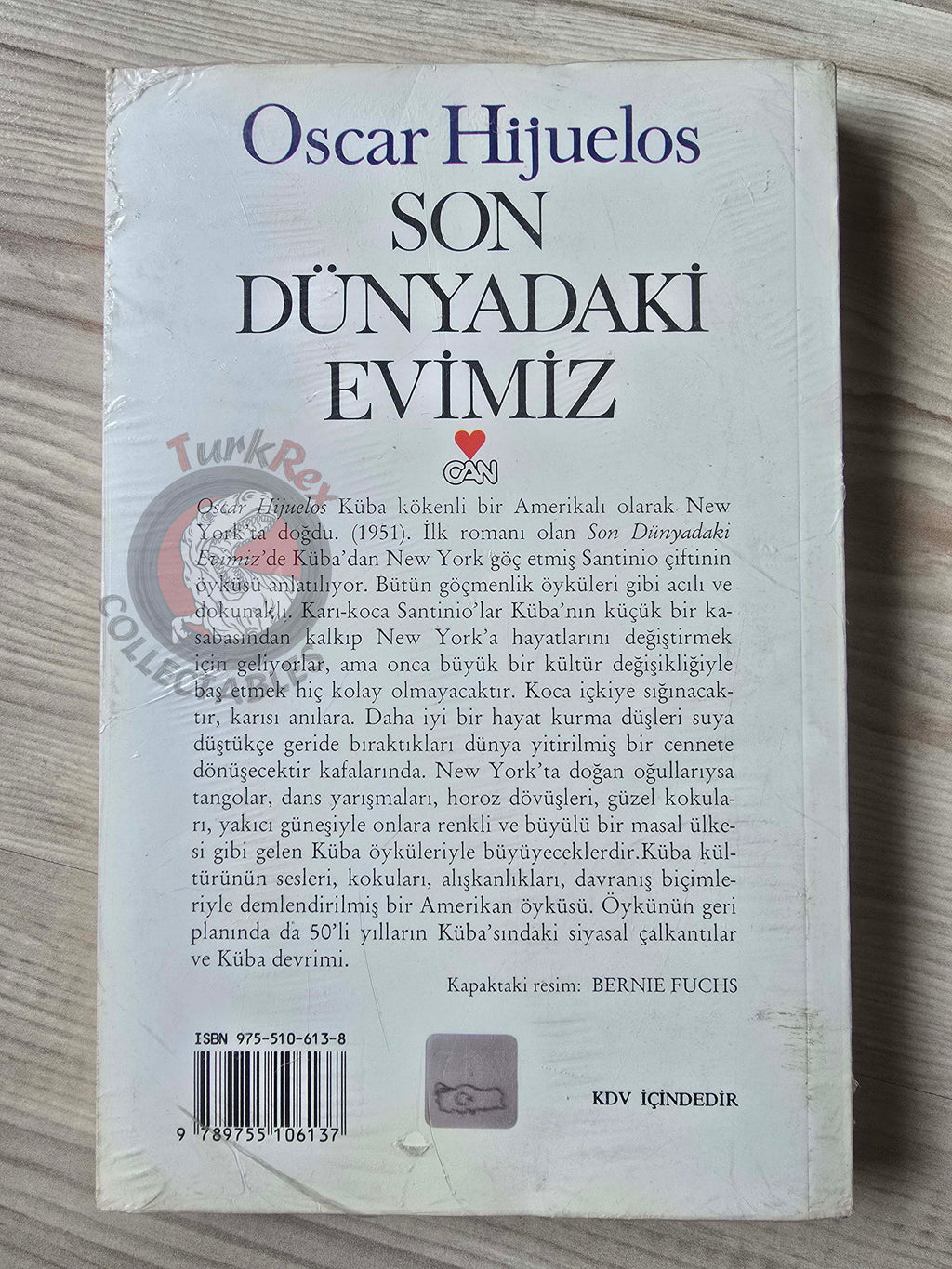 Oscar Hijuelos – Our House in the Last World Turkish Book Turkey