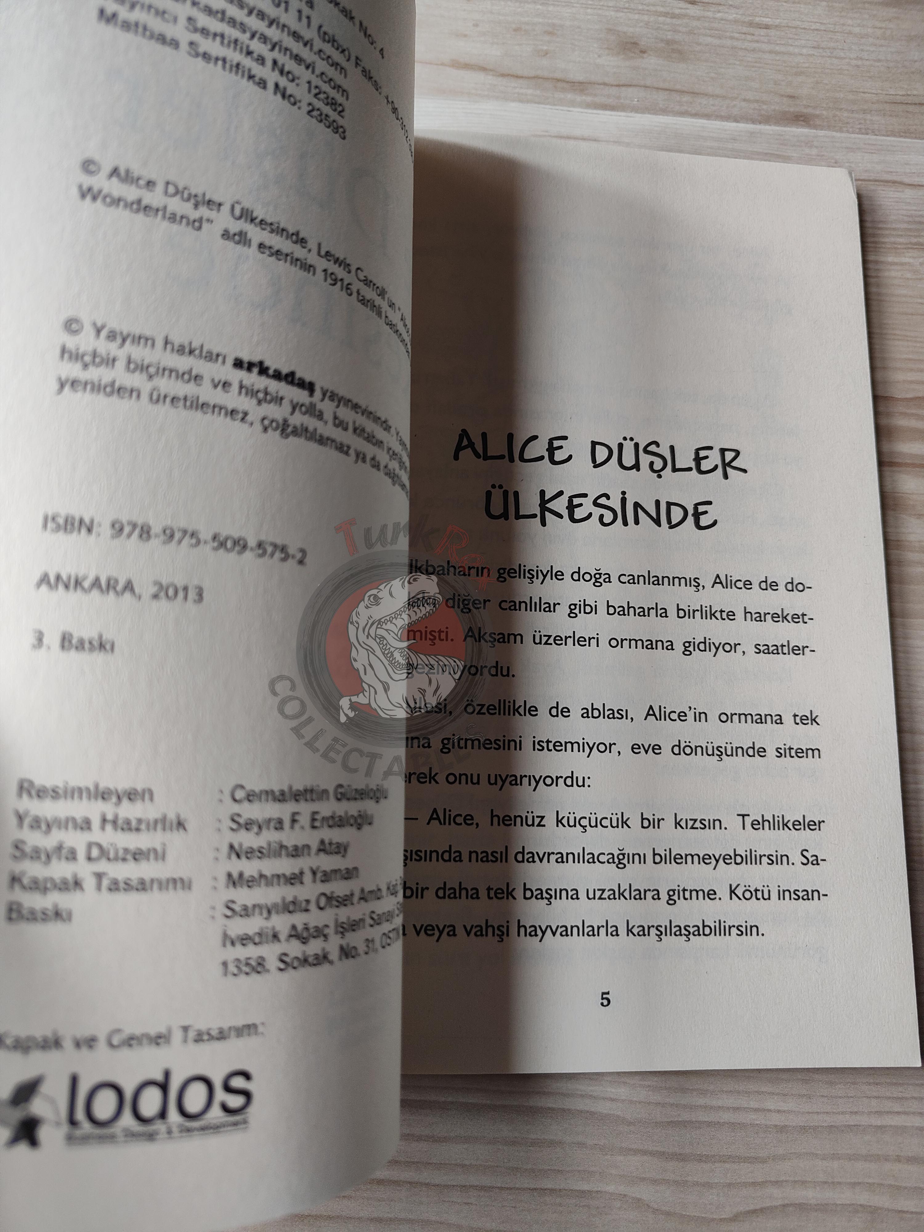 Lewis Carroll – Alice in Wonderland 2013 Turkish Book Turkey Illustrated