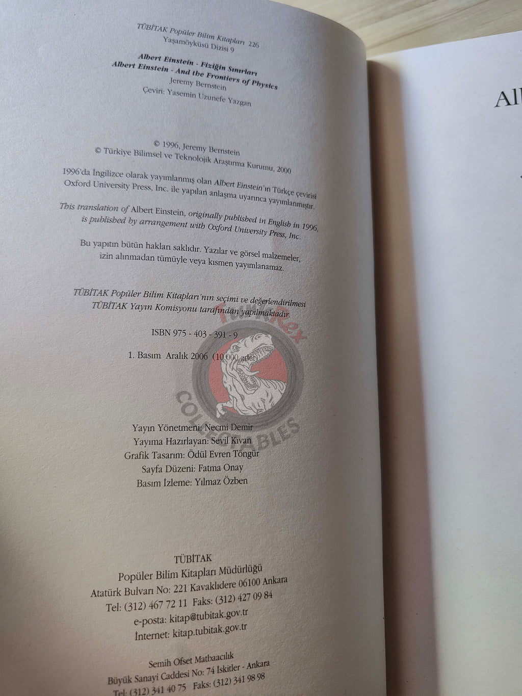 Jeremy Bernstein – Albert Einstein 2006 Turkish Book Turkey