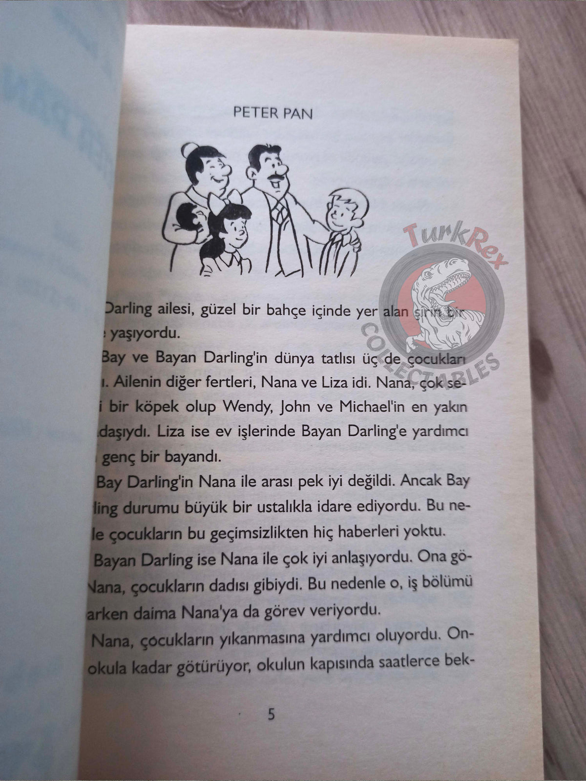 J. M. Barrie – Peter Pan 2005 Turkish Book Turkey Illustrated 1