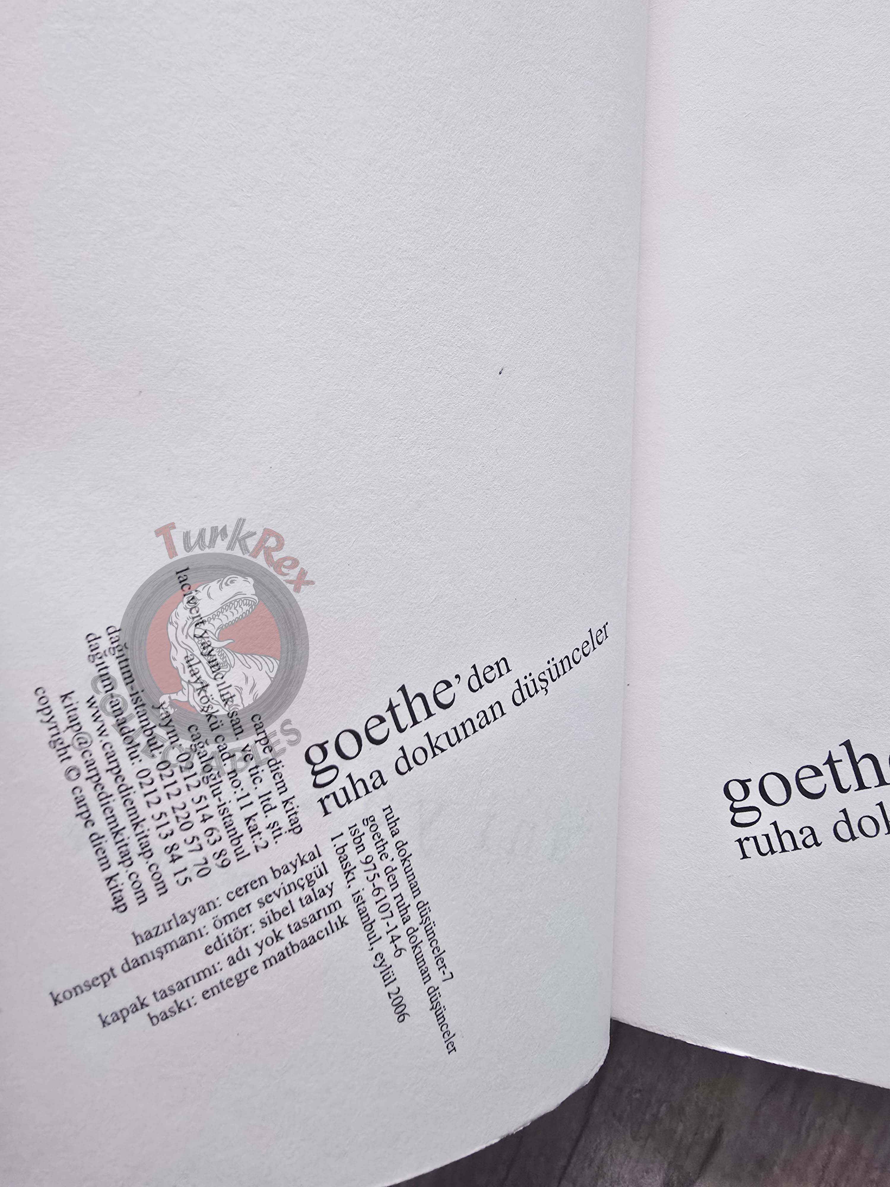 Goethe – Goethe's Thoughts That Touch The Soul 2006 Turkish Book Turkey