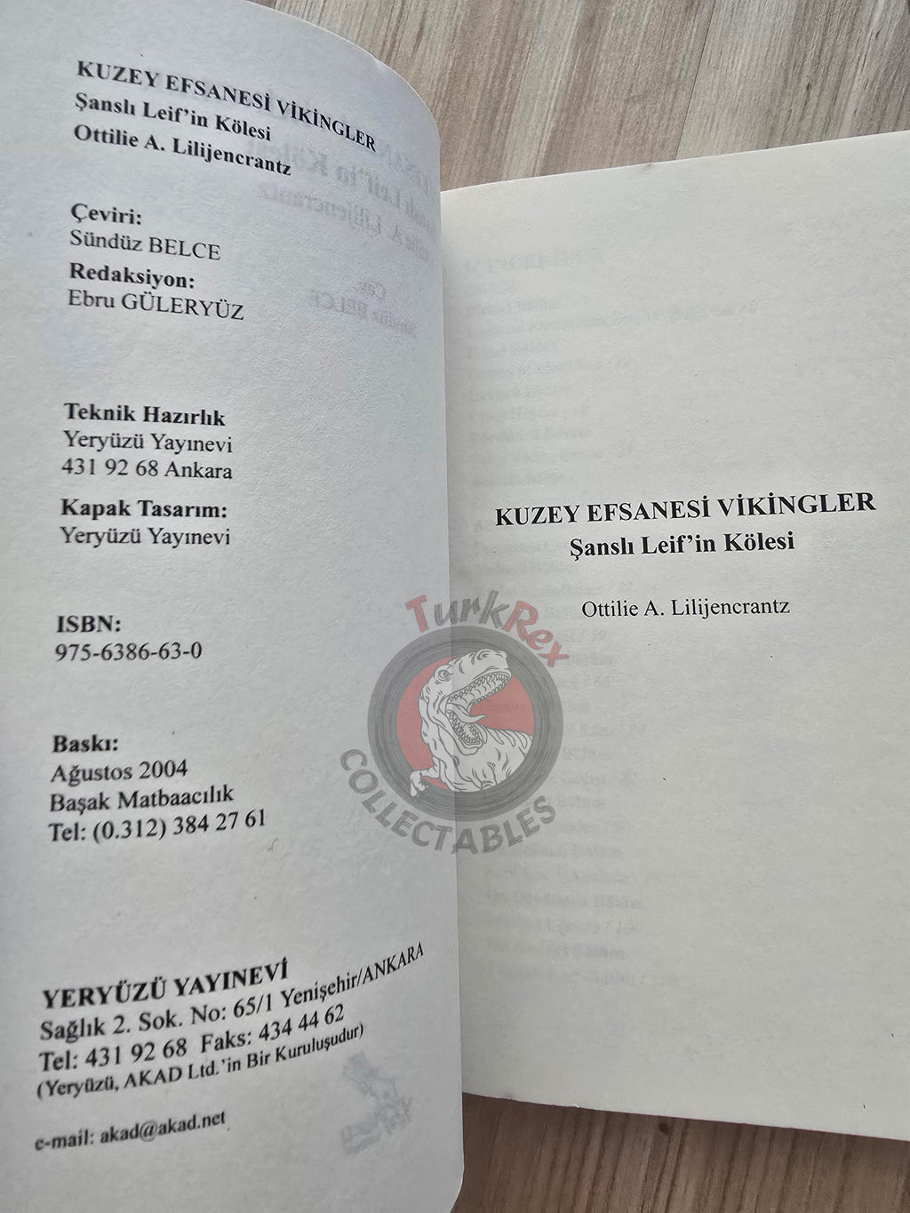 Ottilie A. Liljencrantz – The Thrall of Leif the Lucky: A Story of Viking Days Turkish Book Turkey