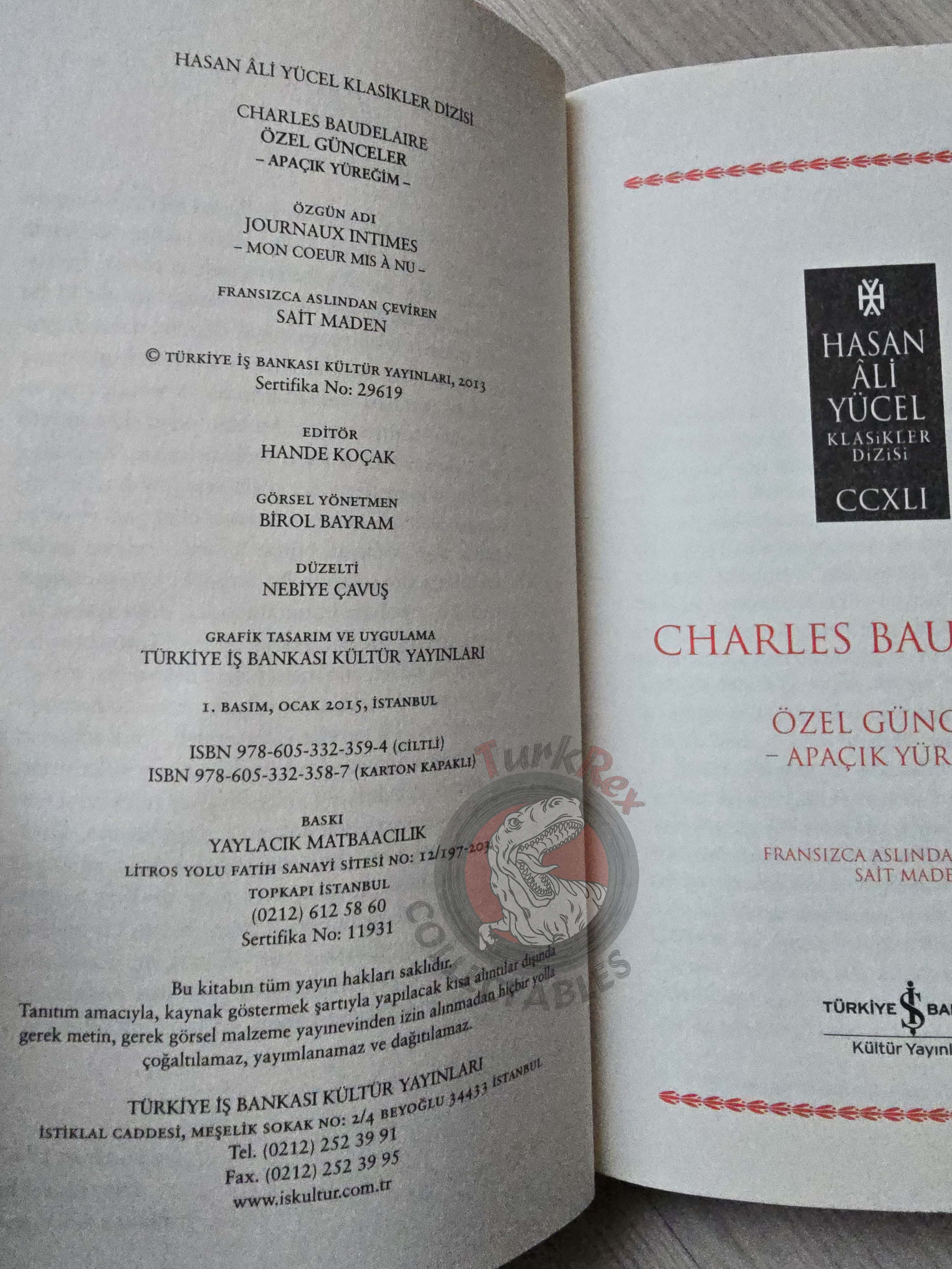 Charles Baudelaire – Journaux Intimes 2015 Turkish Book Turkey