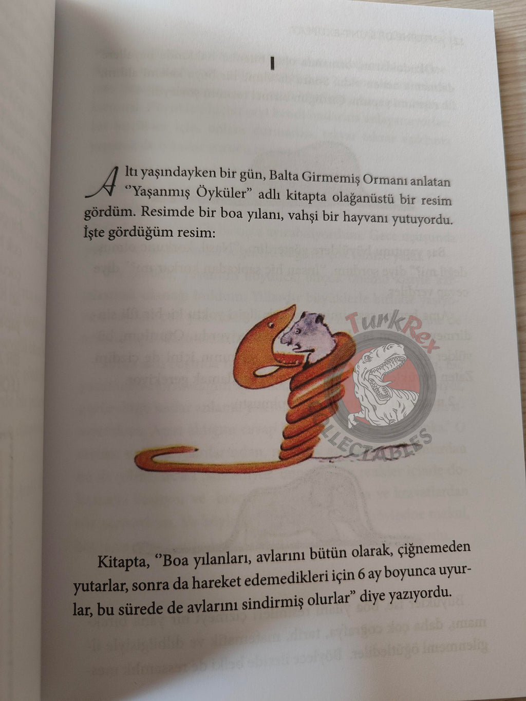 Antoine de Saint-Exupéry – Le Petit Prince 2015 Turkish Book Turkey Illustrated Little 4
