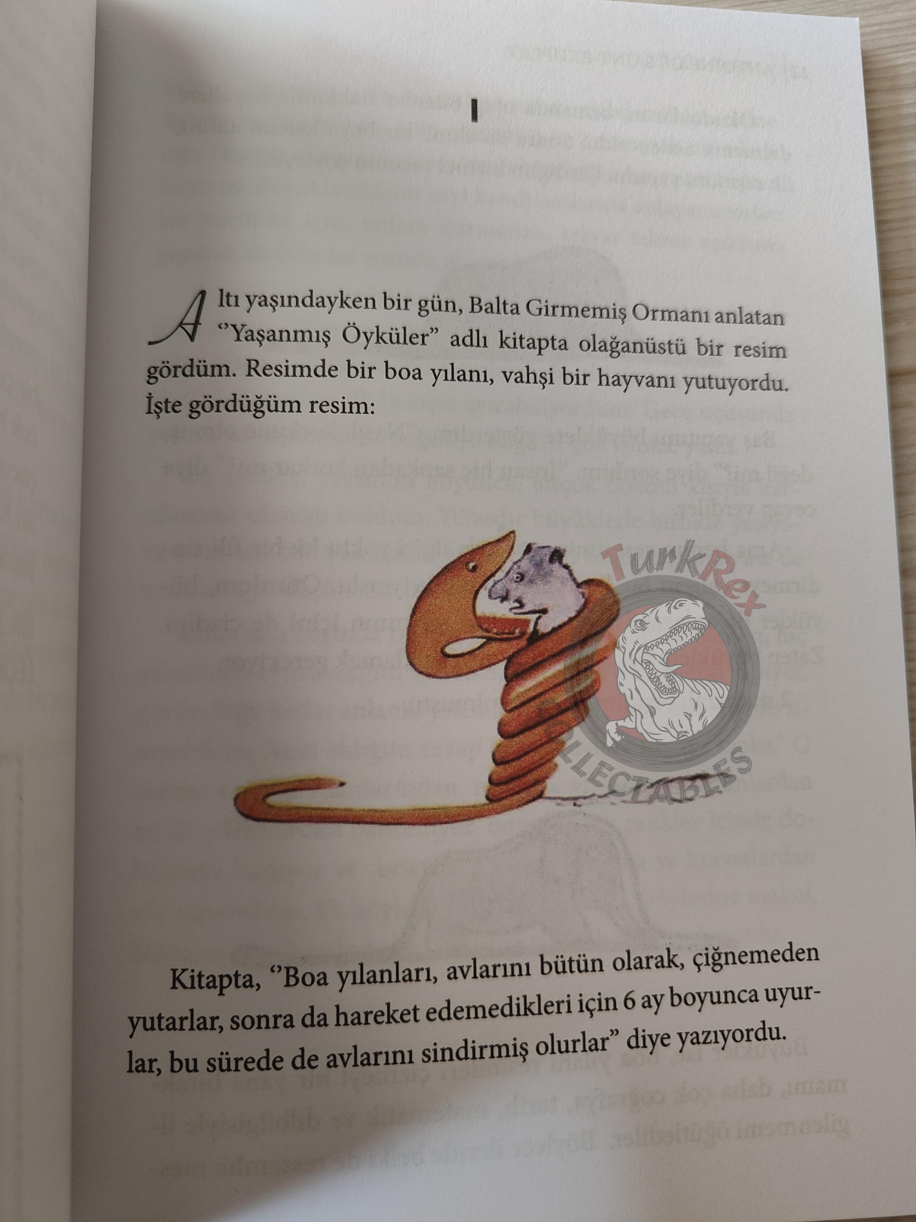 Antoine de Saint-Exupéry – Le Petit Prince 2015 Turkish Book Turkey Illustrated Little 4