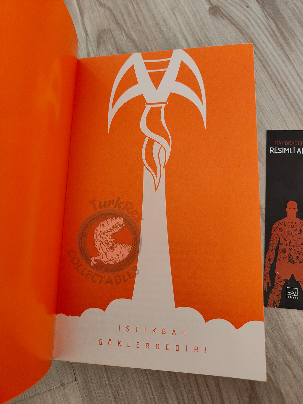 Ray Bradbury  – The Illustrated Man 2017 Turkish Book Turkey