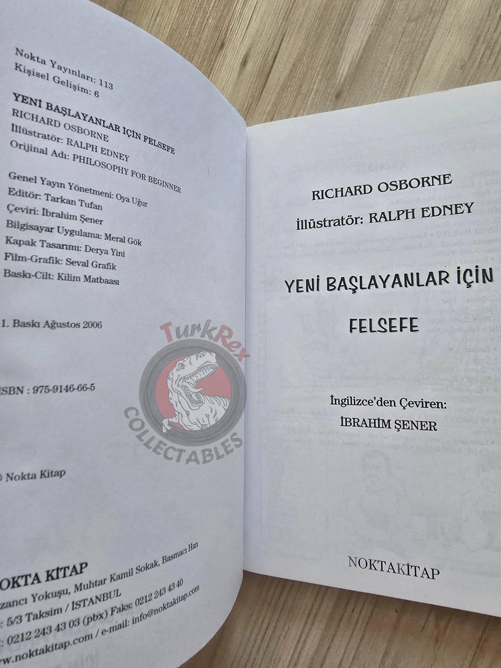 Richard Osborne – Philosophy for Beginners 2006 Turkish Book Turkey