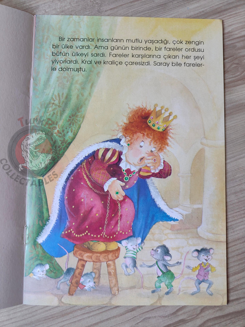 Grimm Brothers – Pied Piper of Hamelin 2000s Turkish Book Turkey Illustrated