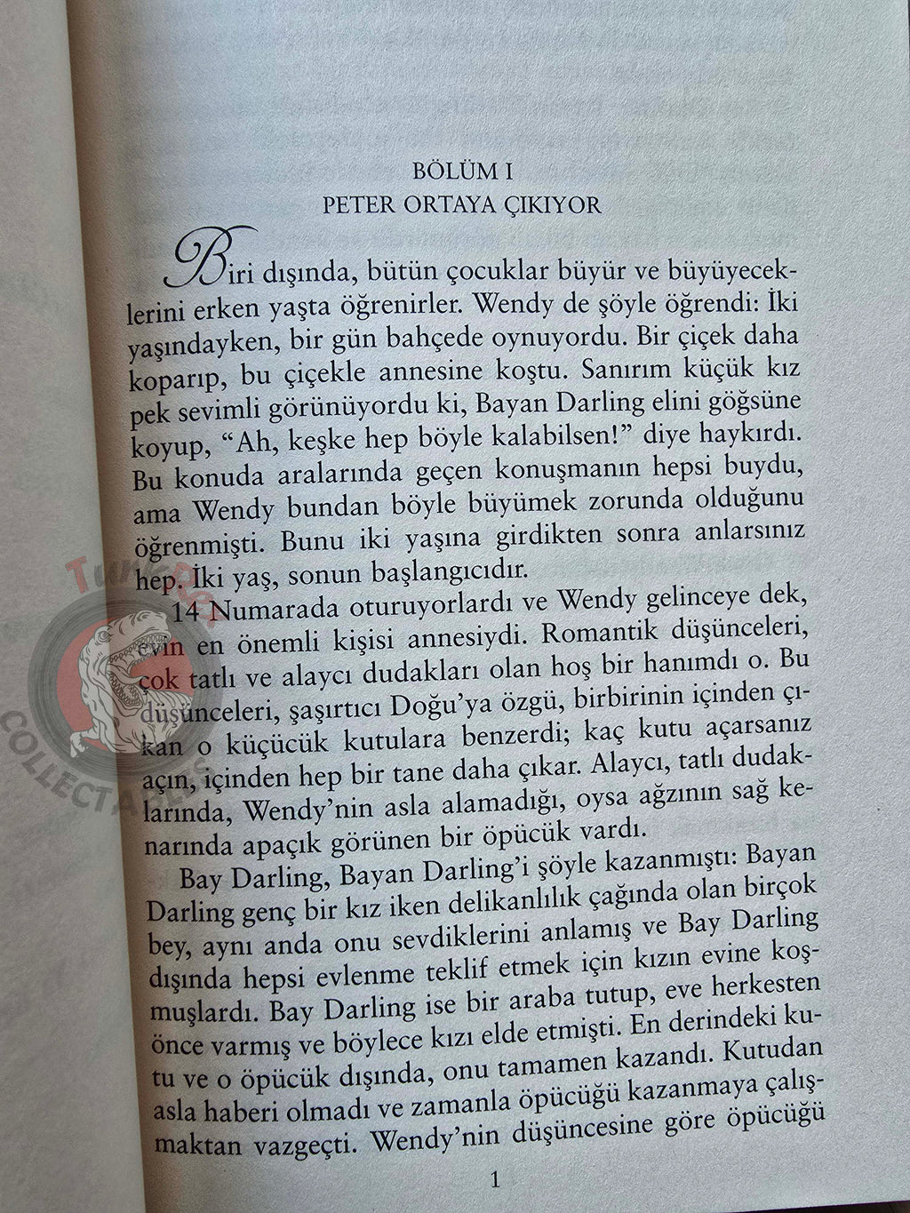 J. M. Barrie – Peter Pan 2009 Turkish Book Turkey 1