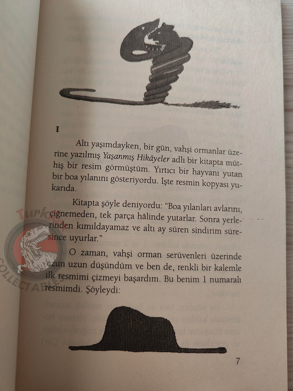 Antoine de Saint-Exupéry – Le Petit Prince 2003 Turkish Book Turkey Illustrated Little 2