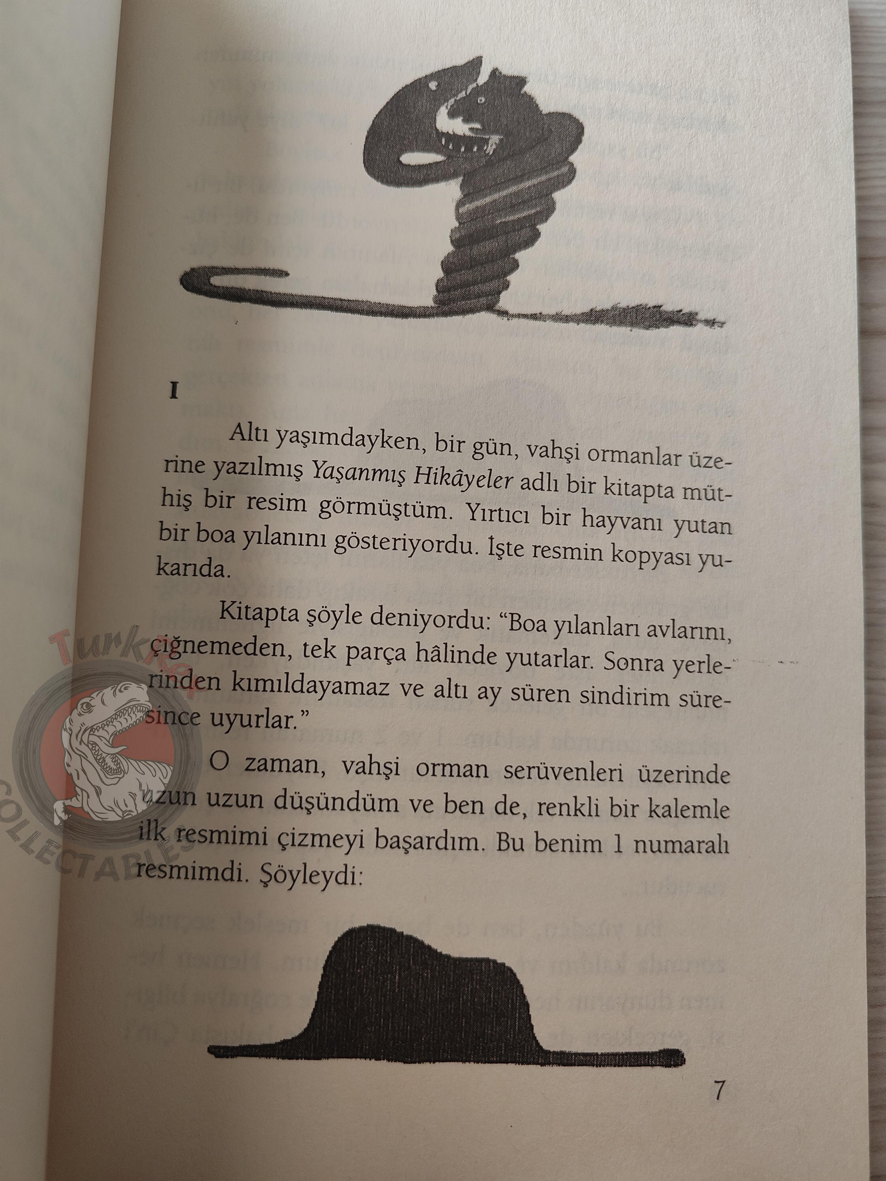 Antoine de Saint-Exupéry – Le Petit Prince 2003 Turkish Book Turkey Illustrated Little 2