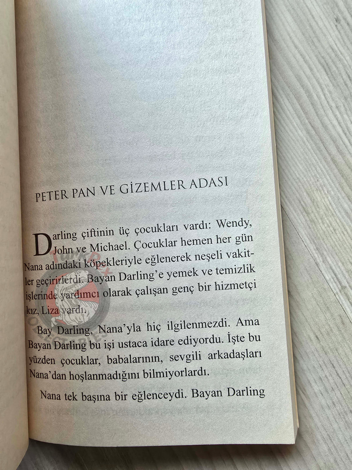 J. M. Barrie – Peter Pan 2010 Turkish Book Turkey 3