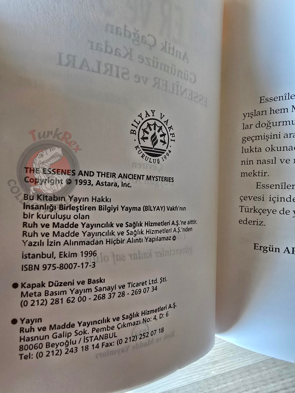 Robert Chaney – The Essenes and Their Ancient Mysteries 1996 Turkish Book Turkey