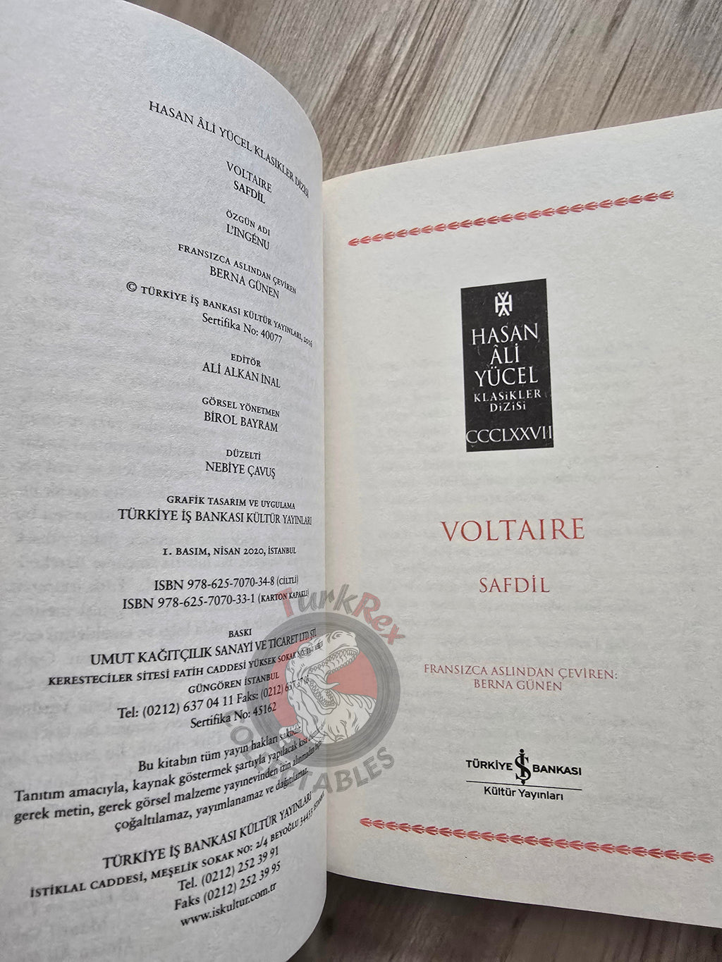 Voltaire – The Ingenu 2020 Turkish Book Turkey