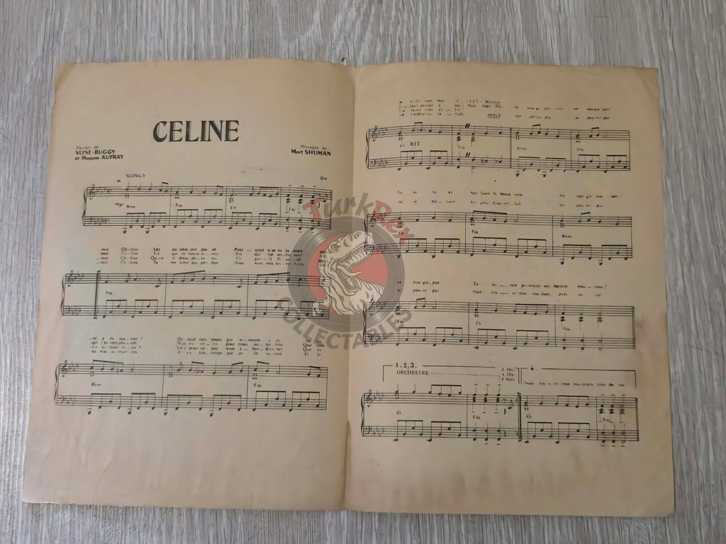 Hugues Aufray – Céline Turkish Vintage Musical Notes Sheet Turkey