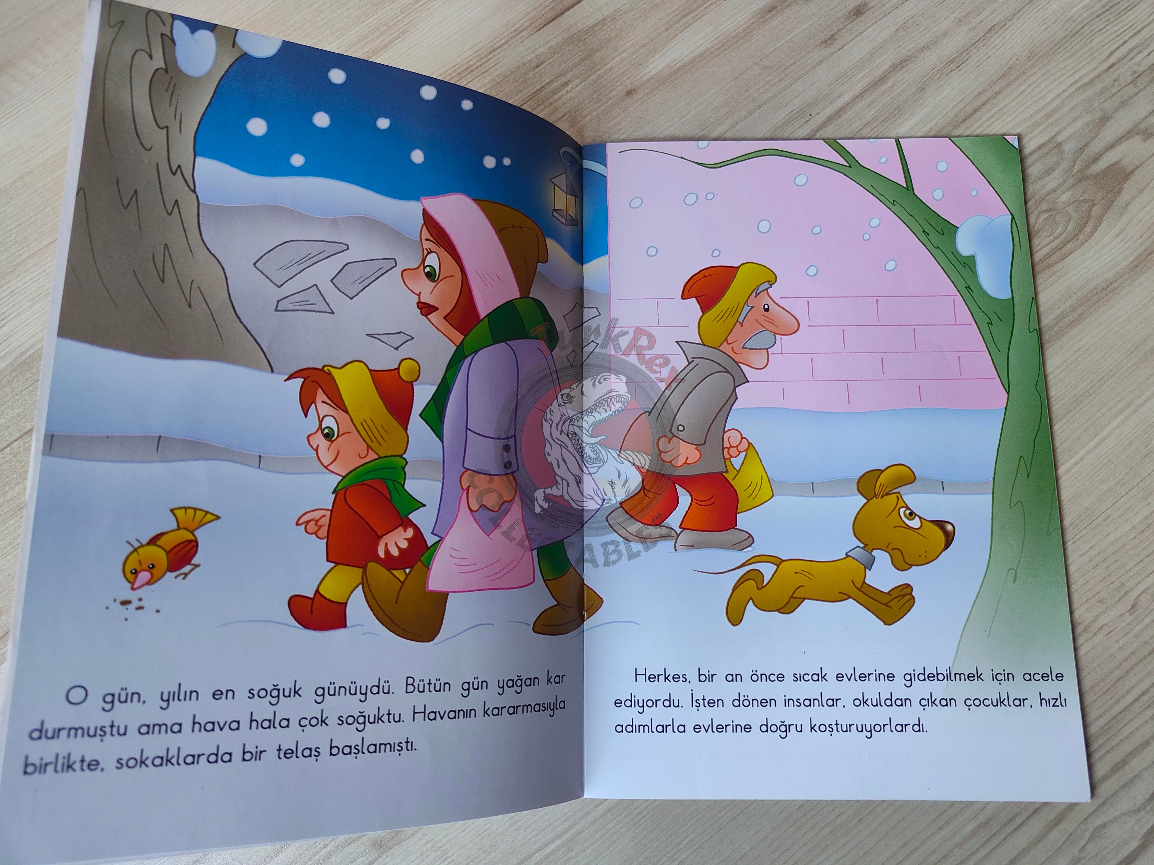 Hans Christian Andersen – The Little Match Girl 2011 Turkish Book Turkey Illustrated