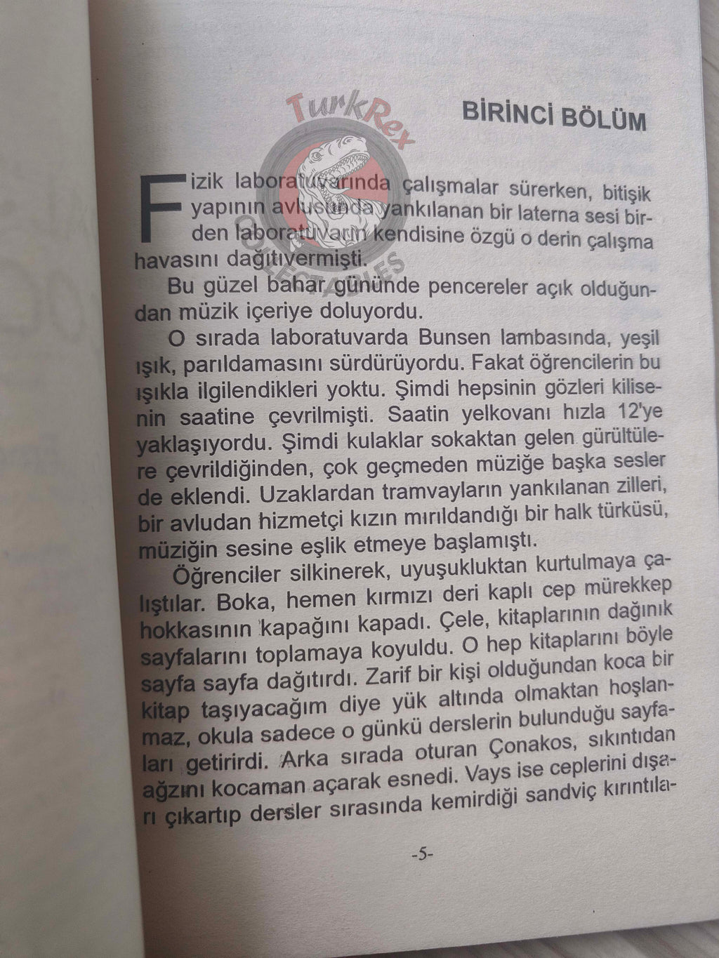 Ferenc Molnár – The Paul Street Boys 2013 Turkish Book Turkey Illustrated