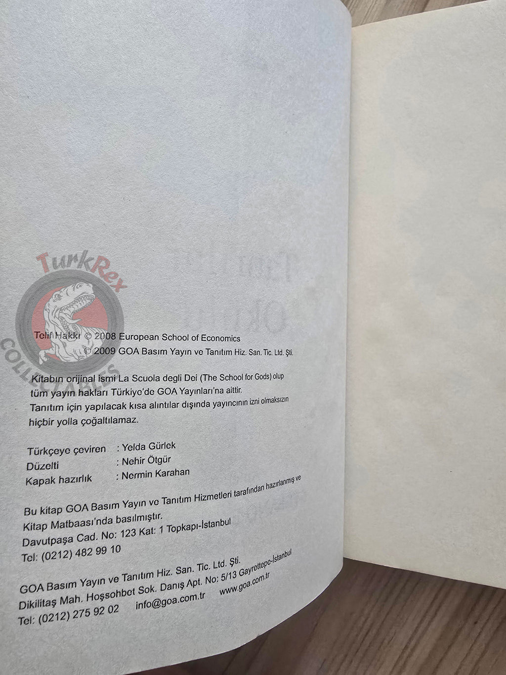 Stefano Elio D'Anna – The School for Gods 2009 Turkish Book Turkey