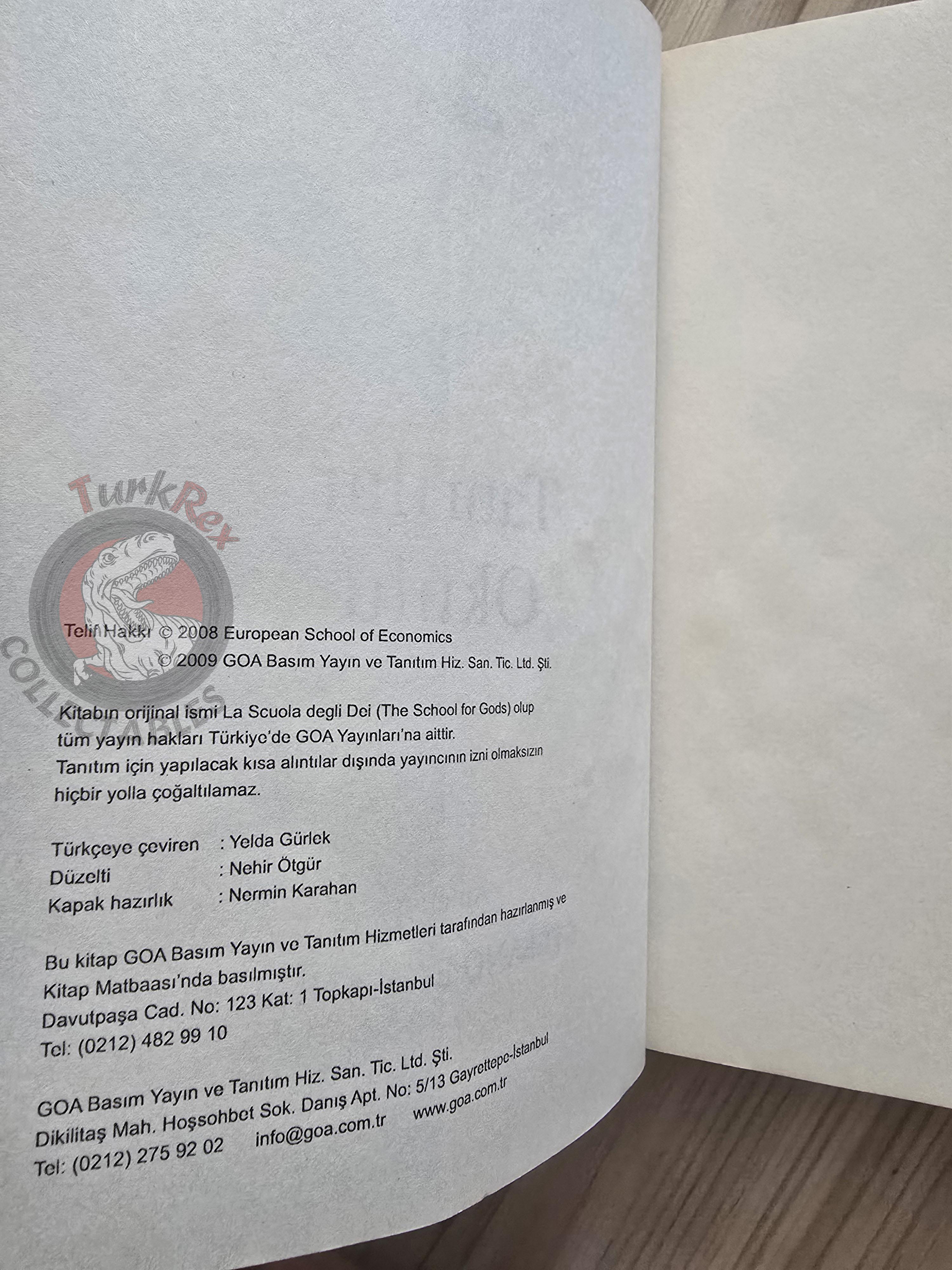 Stefano Elio D'Anna – The School for Gods 2009 Turkish Book Turkey