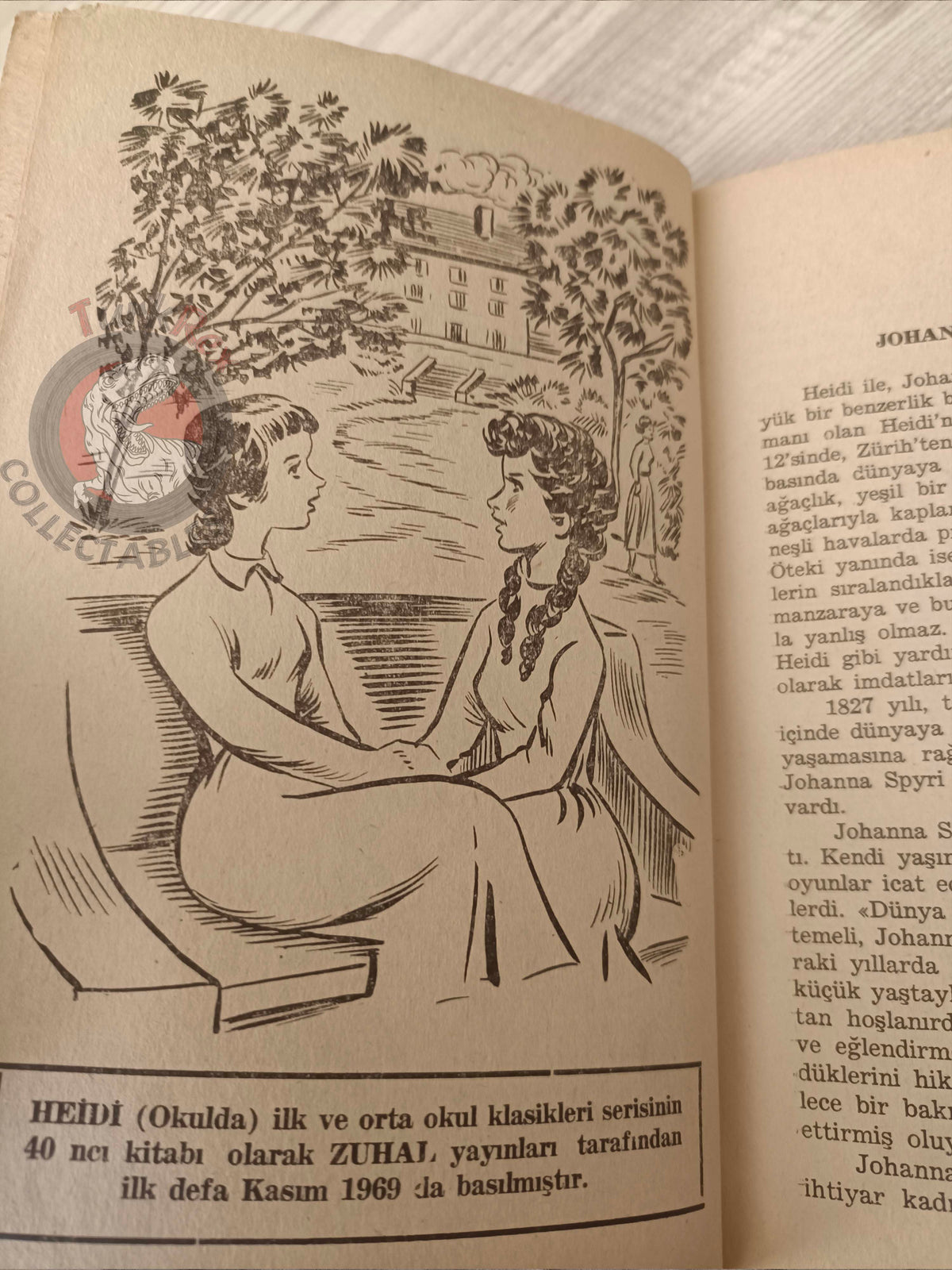 Johanna Spyri – Heidi Grows Up 1969 Turkish Book Turkey Illustrated