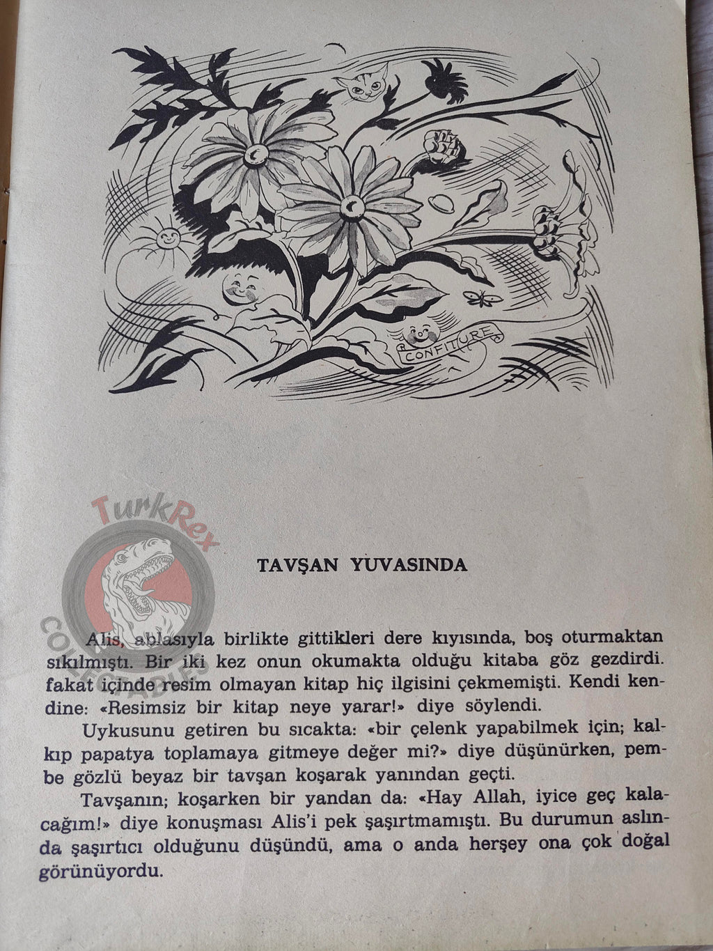 Lewis Carroll – Alice in Wonderland 1988 Turkish Book Turkey Illustrated Alice Huertas