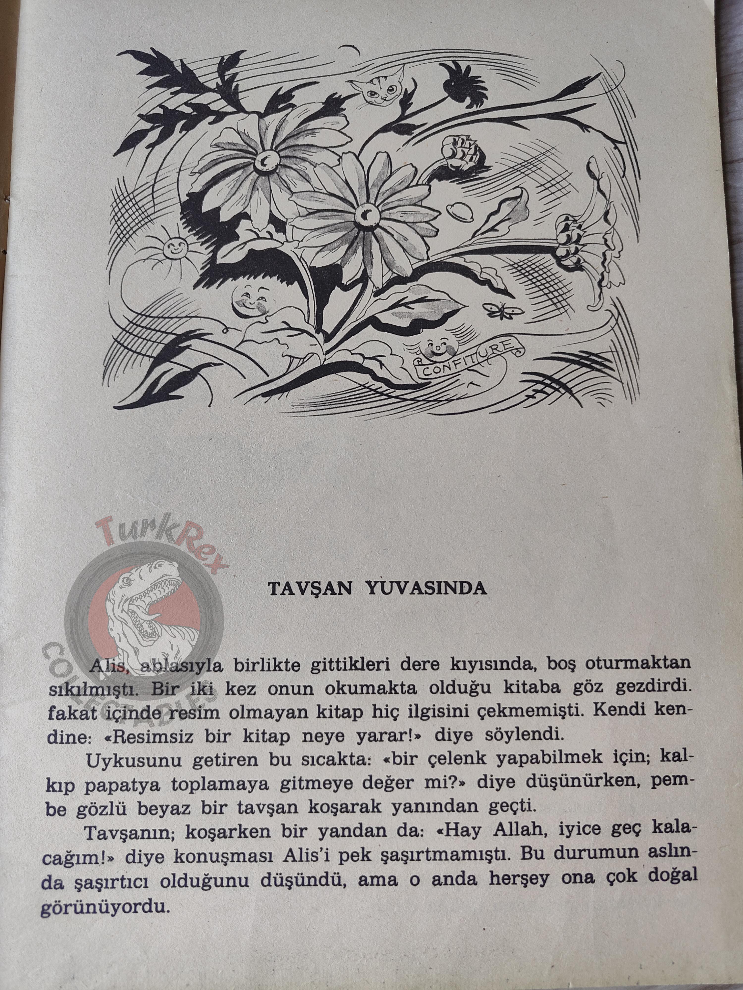 Lewis Carroll – Alice in Wonderland 1988 Turkish Book Turkey Illustrated Alice Huertas